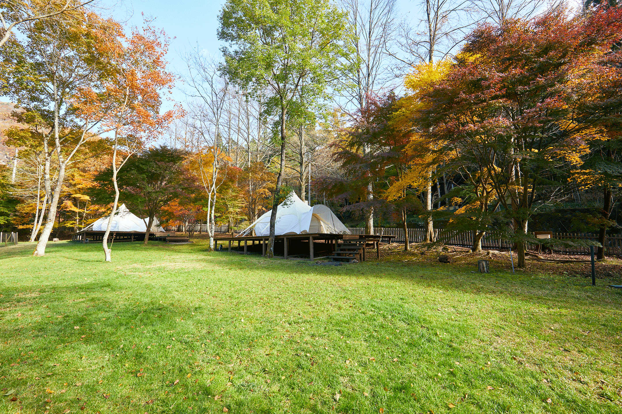 GLAMPING 豪華露營帳篷