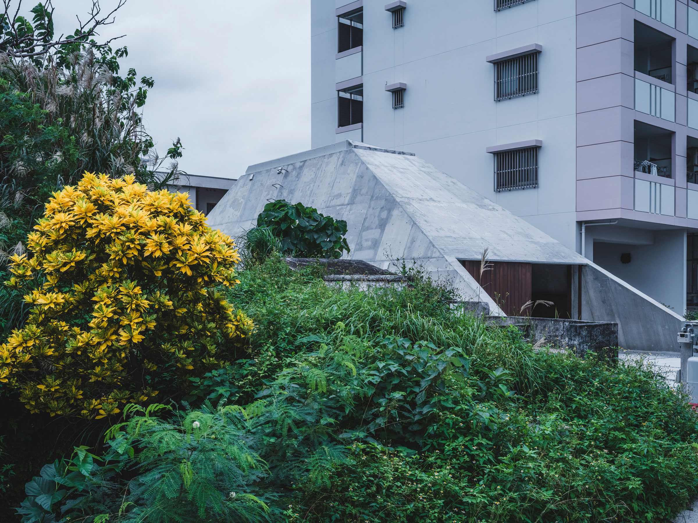 金字塔小屋座落於沖繩森林般的環境中，清水混凝土外牆低調地與周圍綠意對話，黃葉灌木為灰色結構增添一抹生機