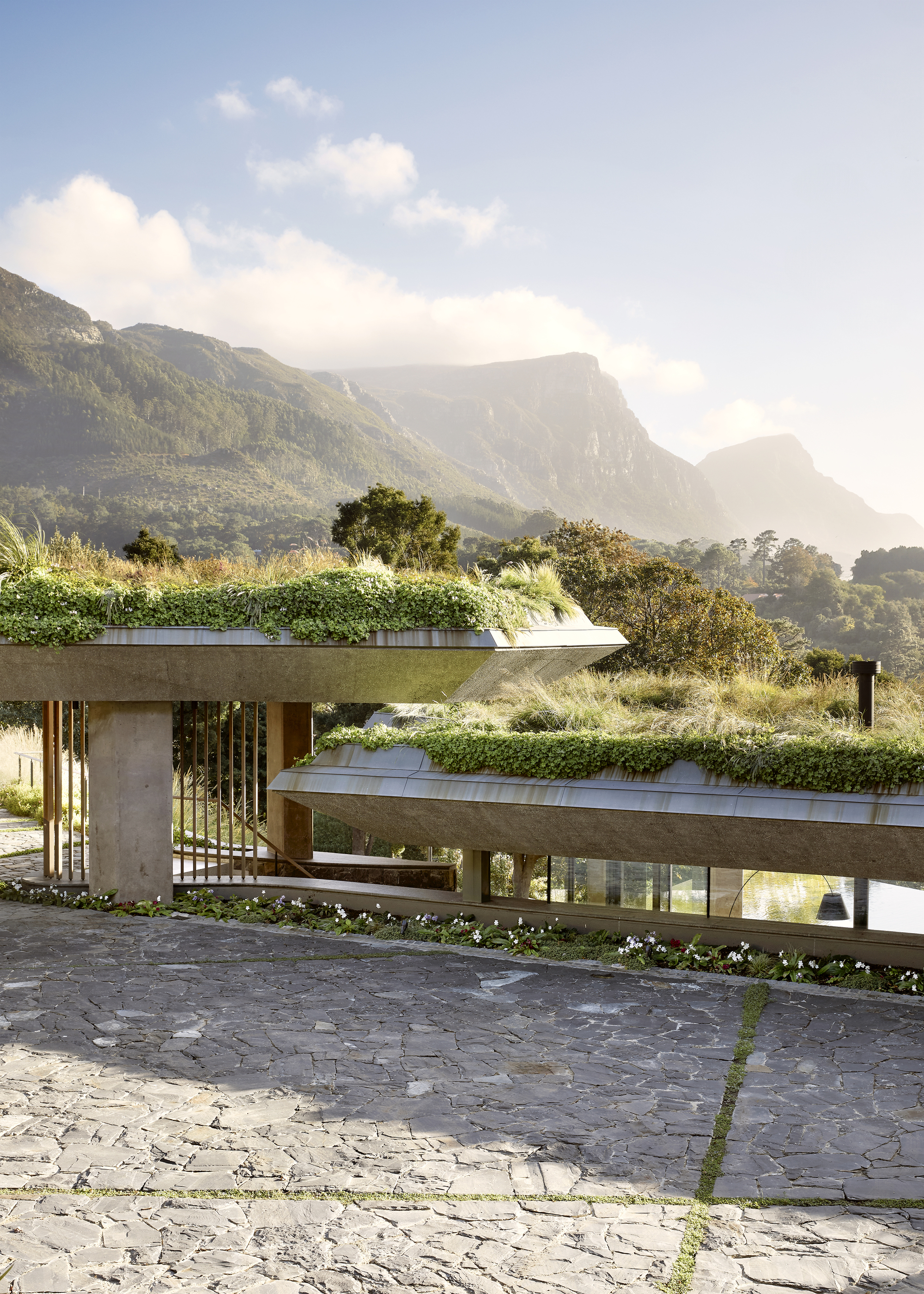 在 Constantia Estate 的擴建過程中，建築師團隊意外發現了一條歷史悠久的道路，兩旁種滿了白楊樹，這條道路曾經是重要的交通要道，見證了康斯坦夏地區的發展和變遷。建築師們決定將這條道路融入到莊園的規劃中，使其成為連結新舊區域的軸線，象徵著歷史和現代的連結