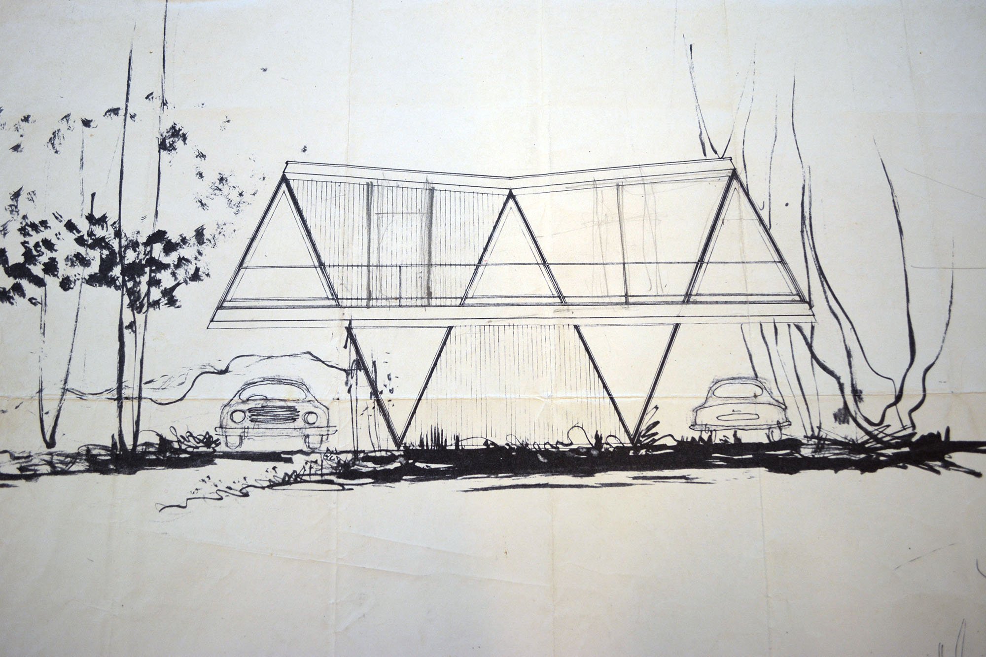 McCraith Butterfly House rex Patrick