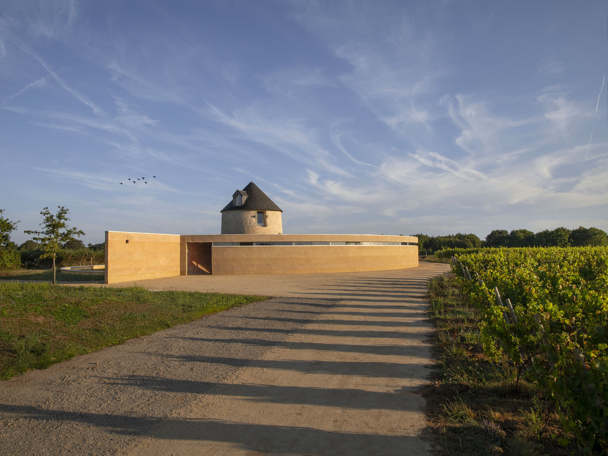 Mill Renovation  Winery Construction Carmen Maurice Architecture Vineyard de Rhuys Le vignoble de Rhuys - Dantelezh 法國酒莊