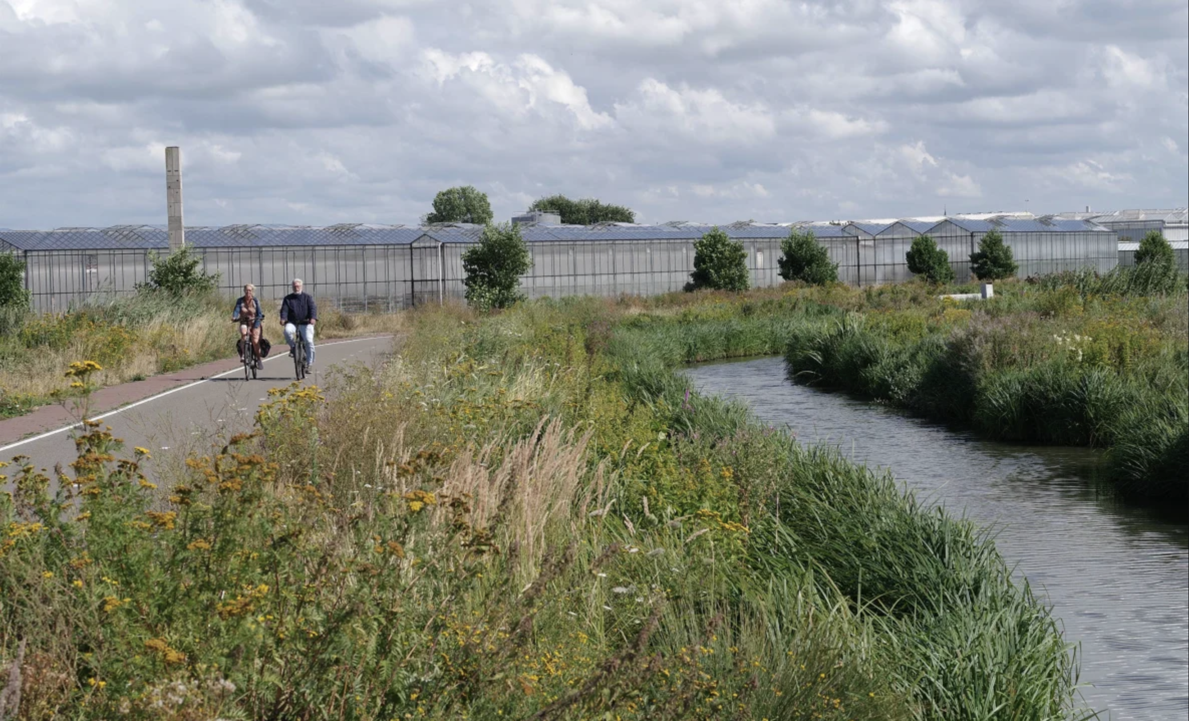 Park Poelzone Westland  LOLA Landscape Architects 