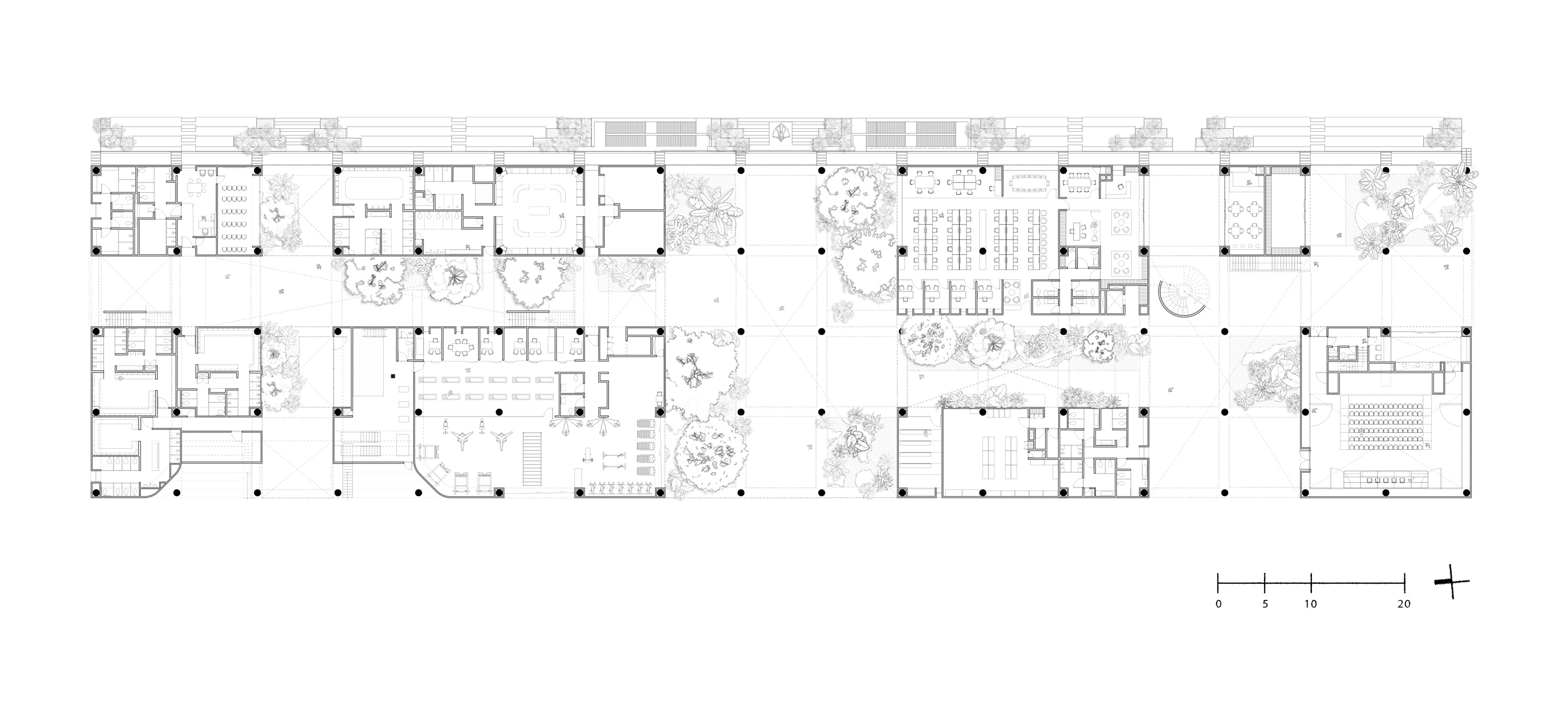 Sordo Madaleno 墨西哥Academia Atlas FC運動學院