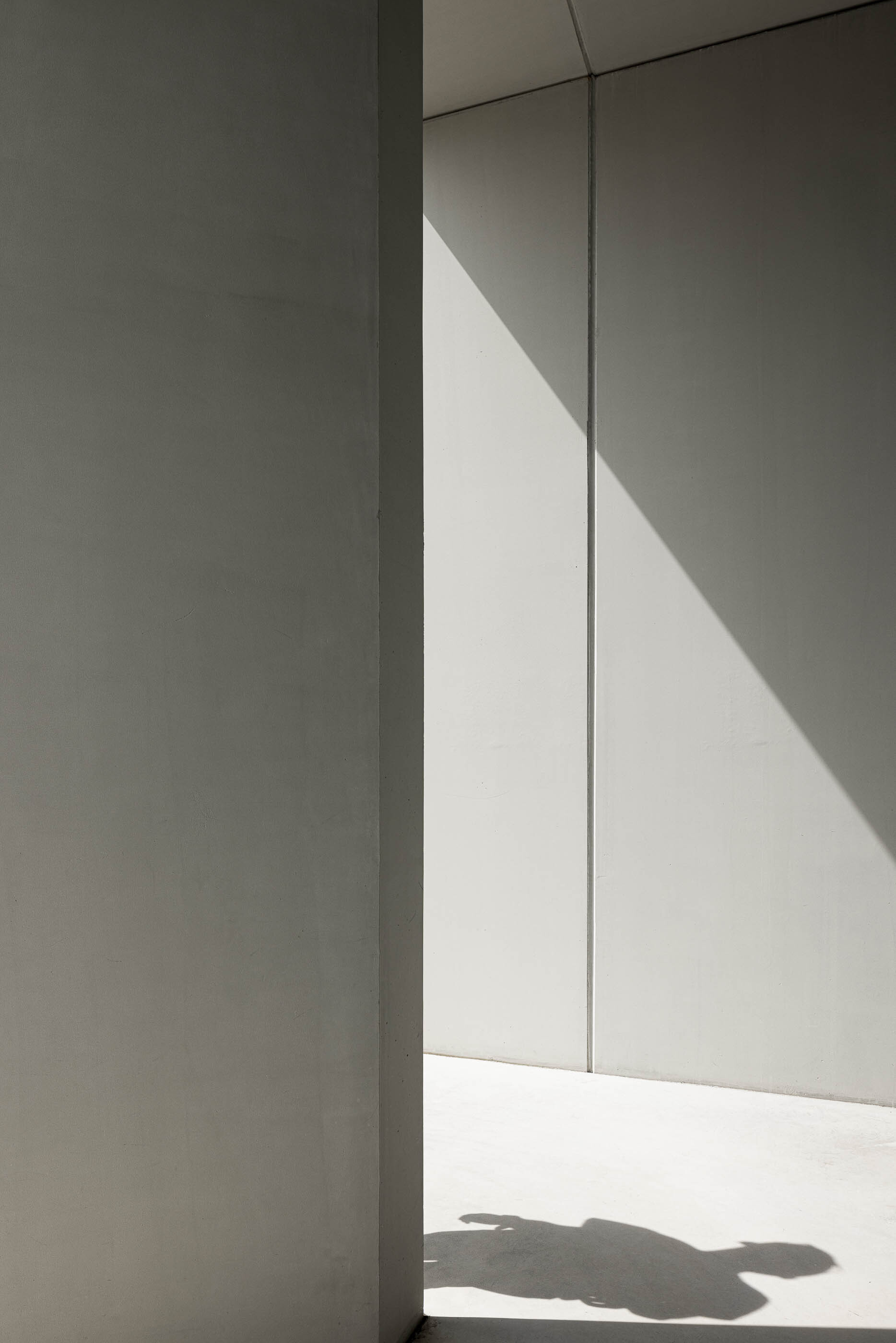 Multiprojectus 葡萄牙廠辦BW II – Industrial Building in Viana do Castelo