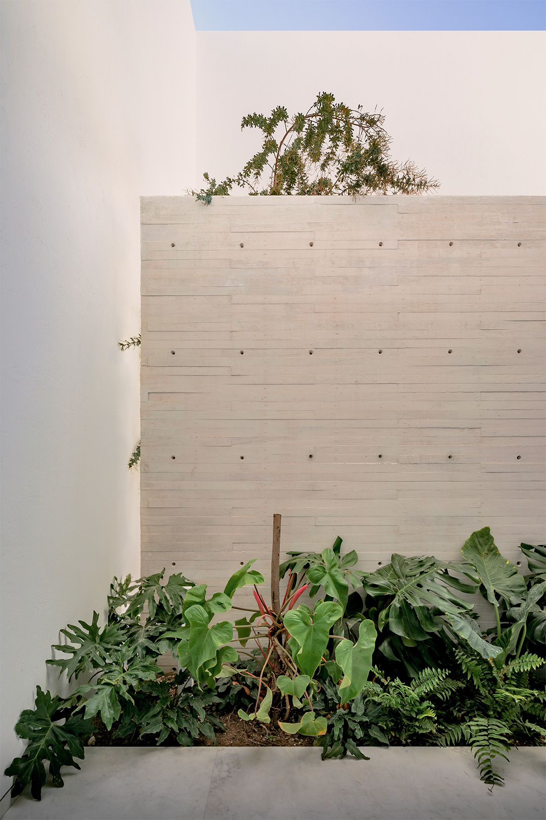 墨西哥住宅 Natura House Cotaparedes Arquitectos