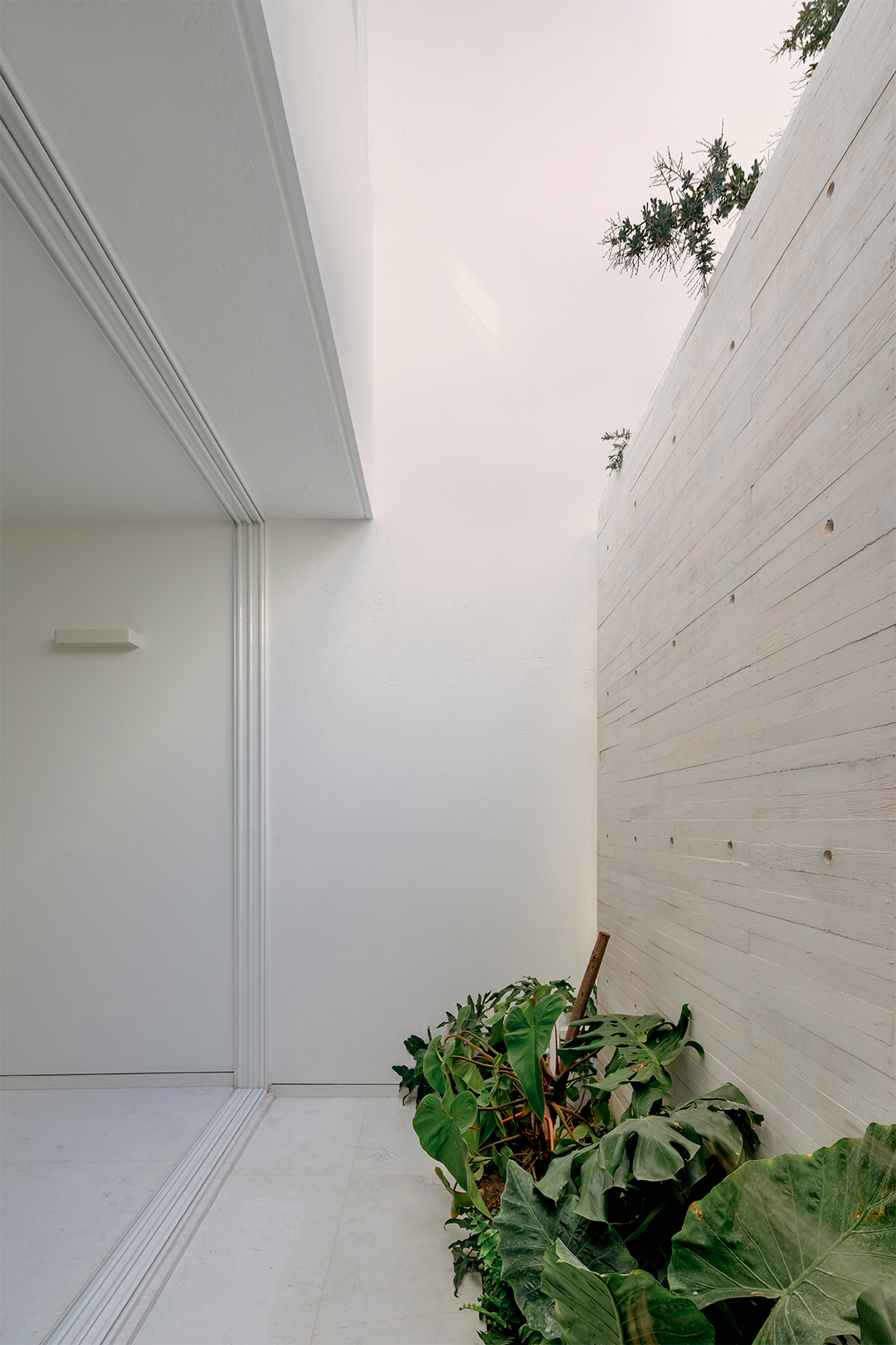 墨西哥住宅 Natura House Cotaparedes Arquitectos