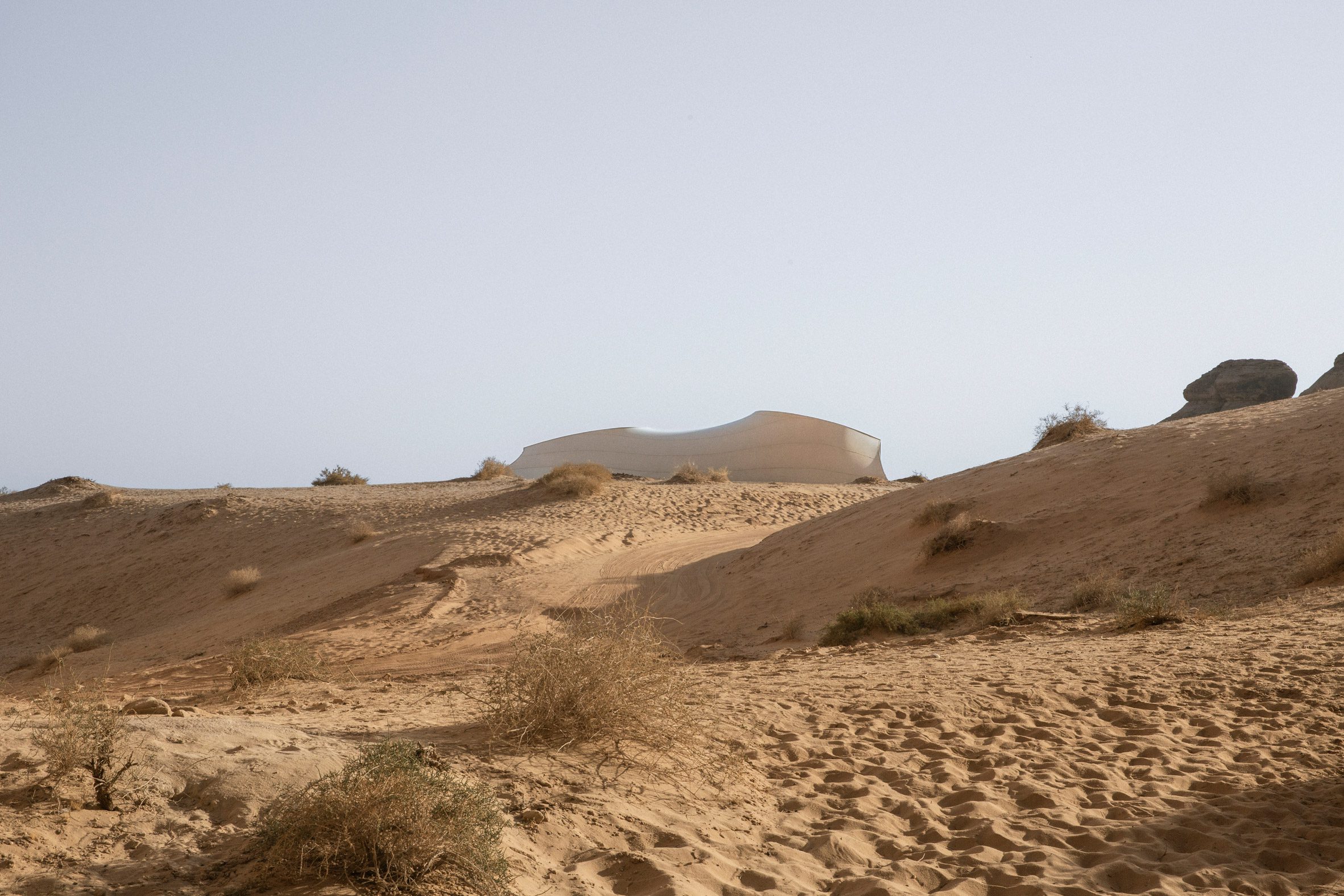 Hegra Wildlife and Nature Experience