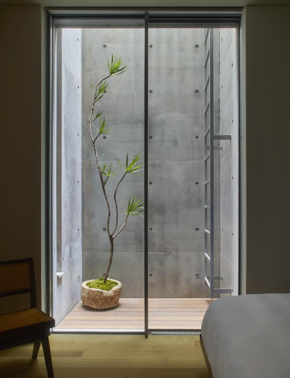 一個採光井將自然光引入管家的房間（All Photography：Yoshihiro Makino）