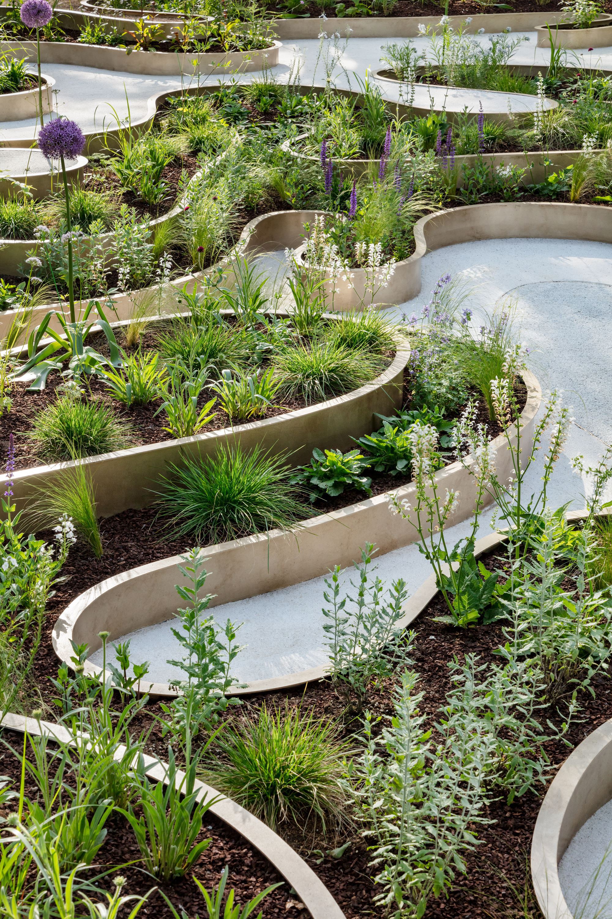 南韓花園 Immersive Resilience Garden 