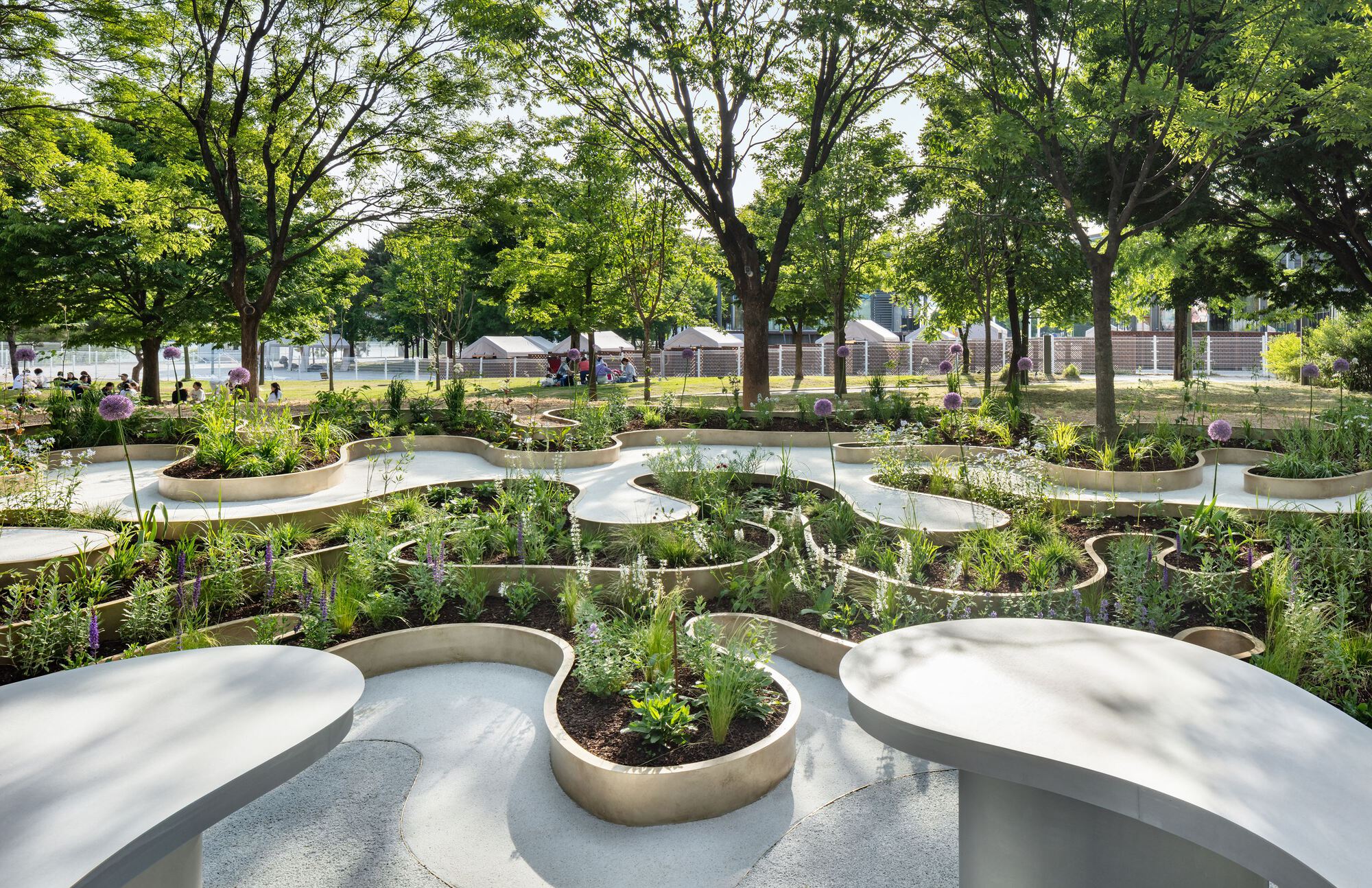南韓花園 Immersive Resilience Garden 