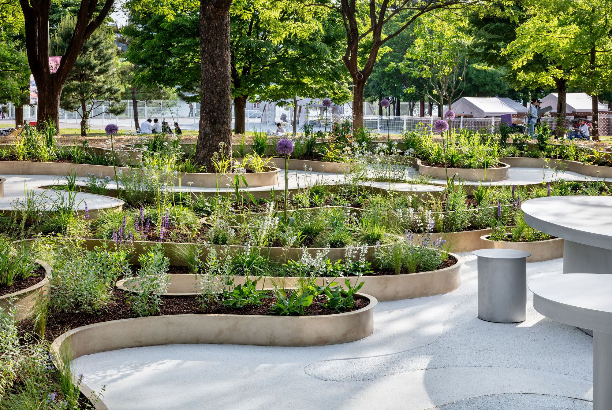 南韓花園 Immersive Resilience Garden 