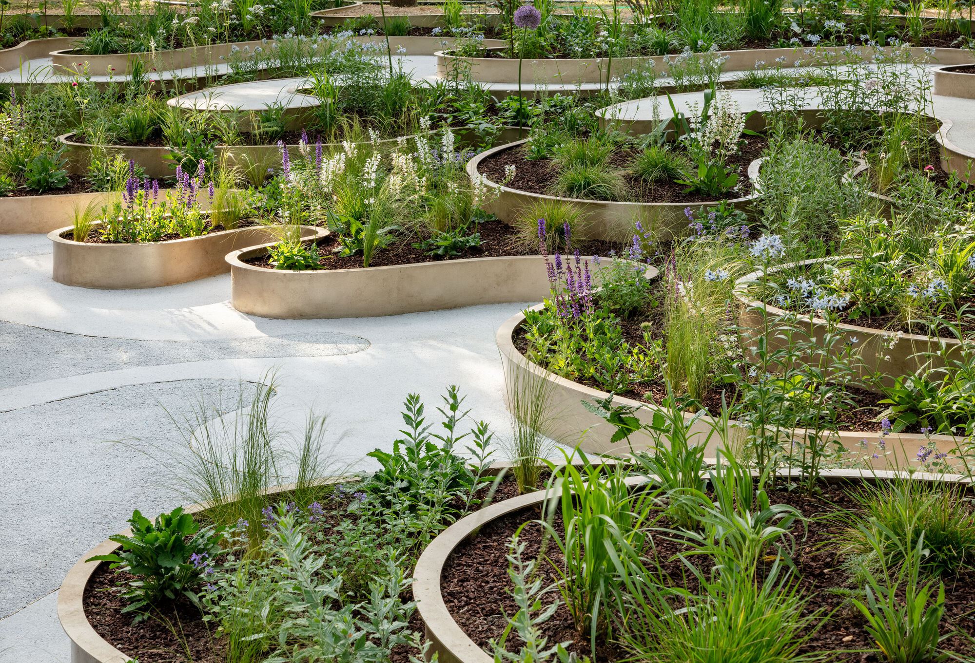 南韓花園 Immersive Resilience Garden 