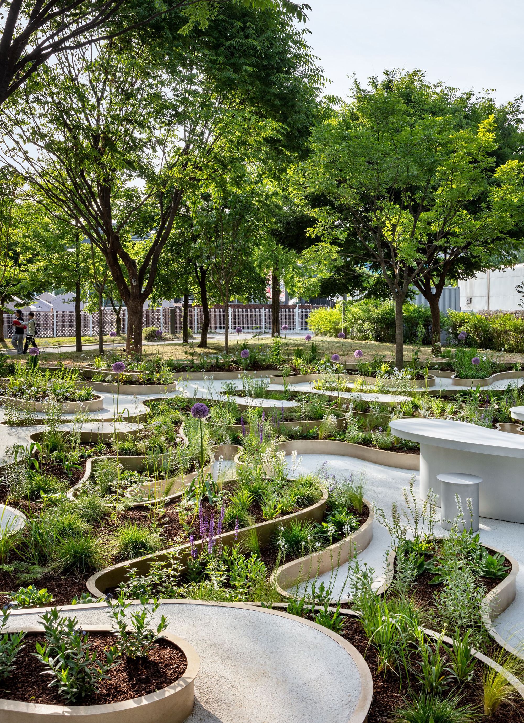 南韓花園 Immersive Resilience Garden 