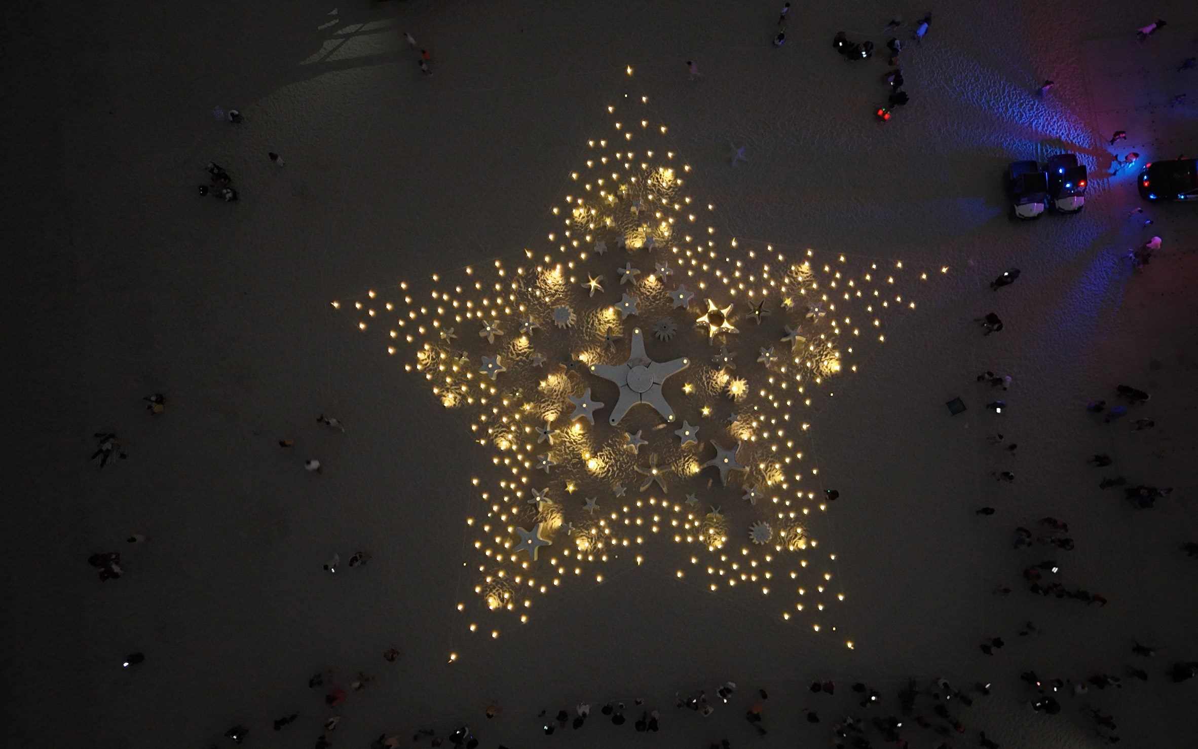 ReefLine邁阿密海洋生態復育計畫 oma miami reef star