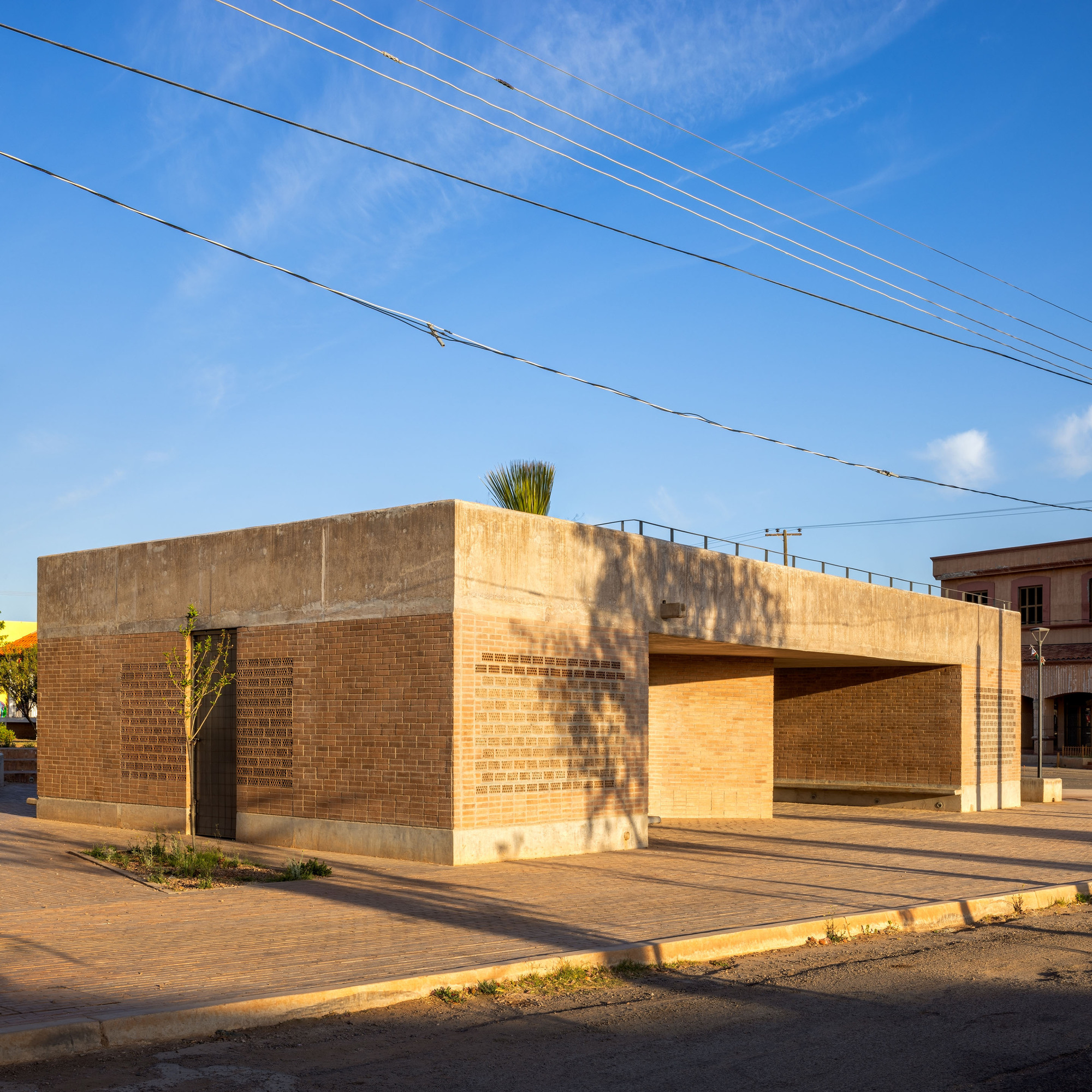 墨西哥建築師Fernanda Canales為「Benito Juarez Square」廣場