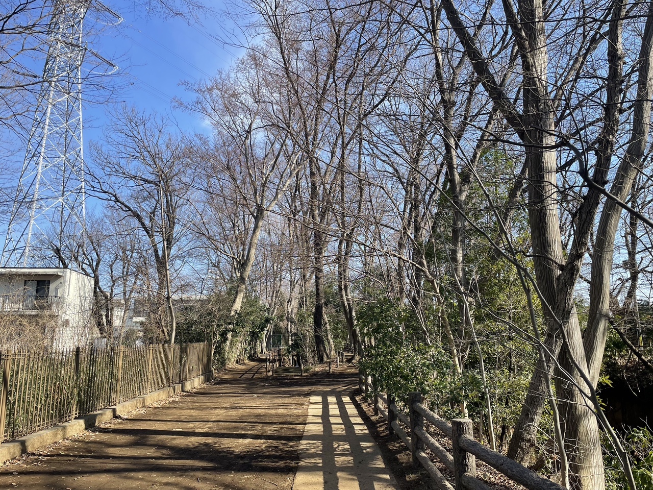 「玉川上水旧水路緑道（玉川上水舊水路綠道）」現況