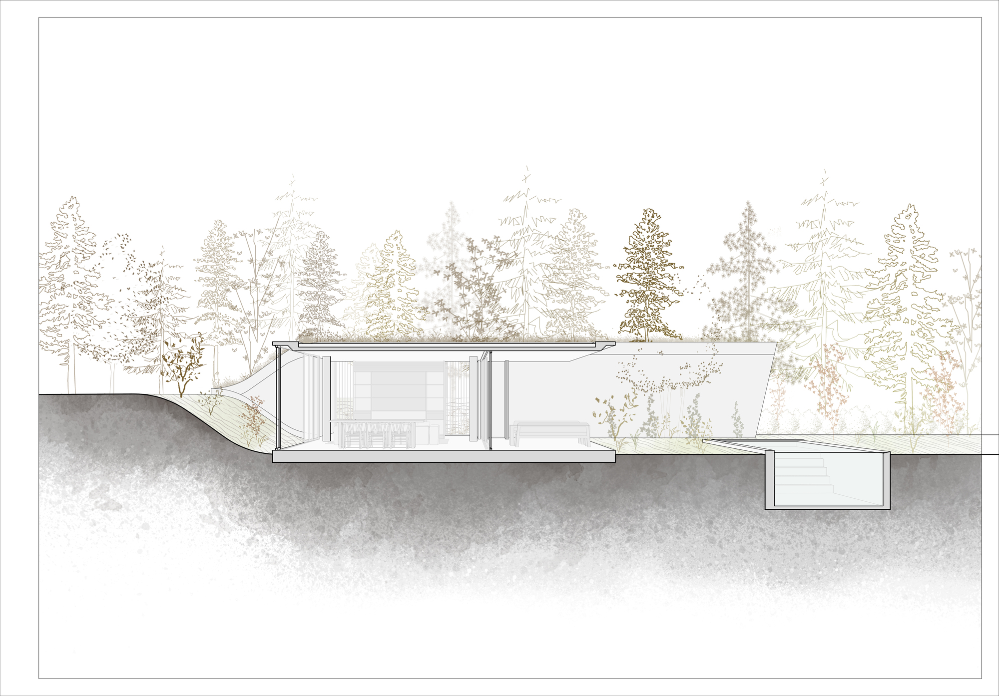 阿根廷建築 森林住宅 Forest House Gonzalo Bardach arquitectura