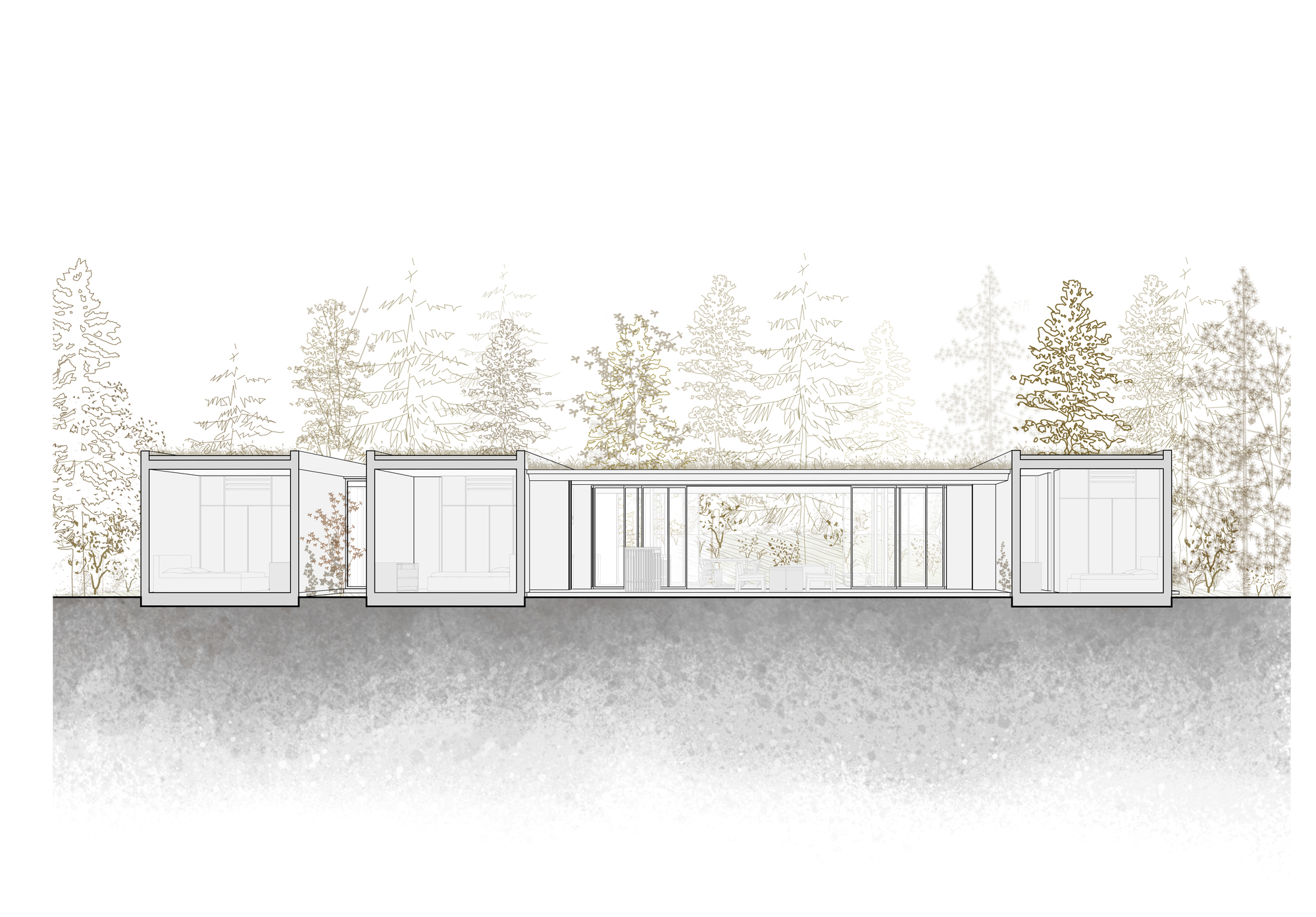 阿根廷建築 森林住宅 Forest House Gonzalo Bardach arquitectura