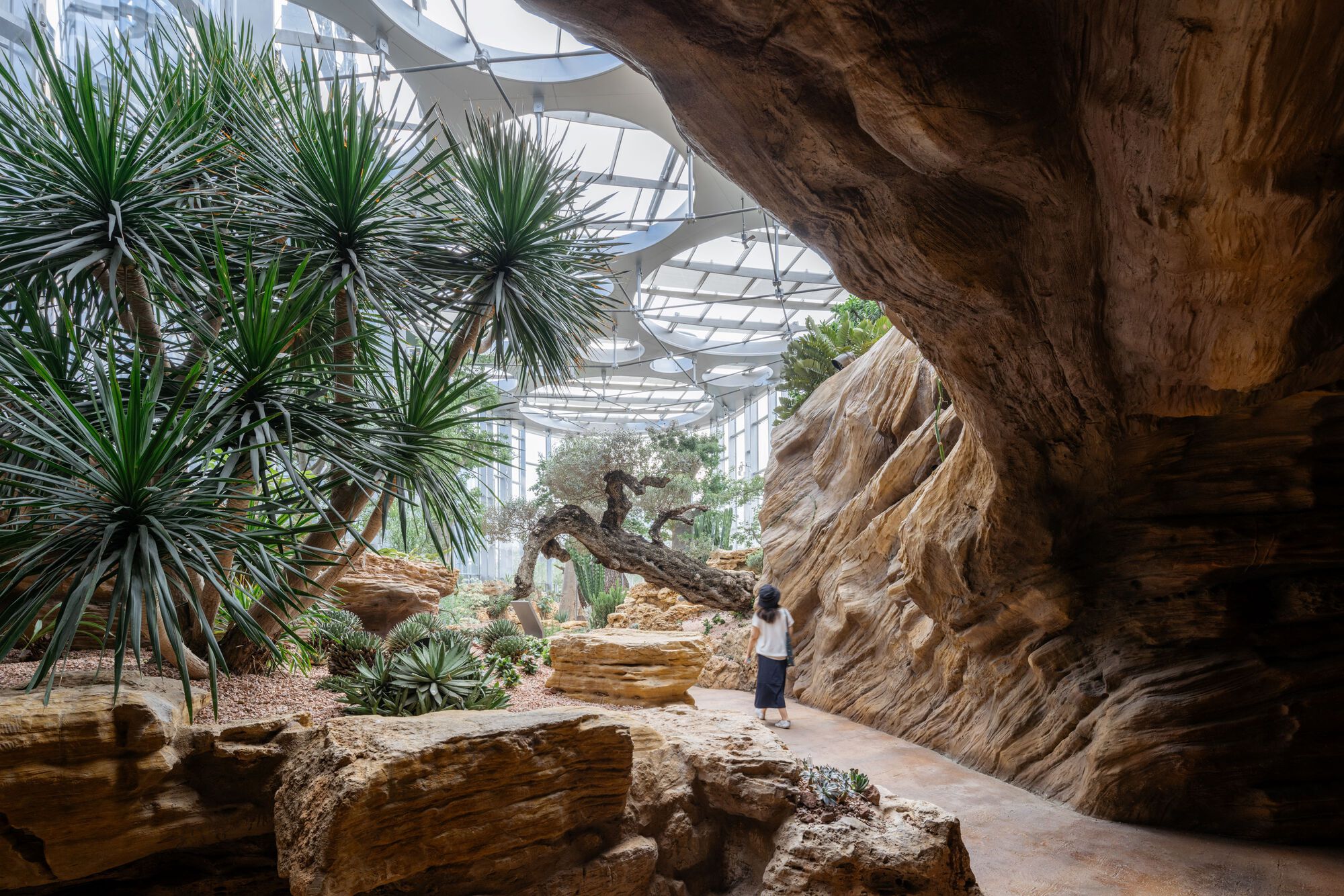上海世博文化公園溫室花園 Expo Cultural Park Greenhouse Garden Delugan Meissl Associated Architects
