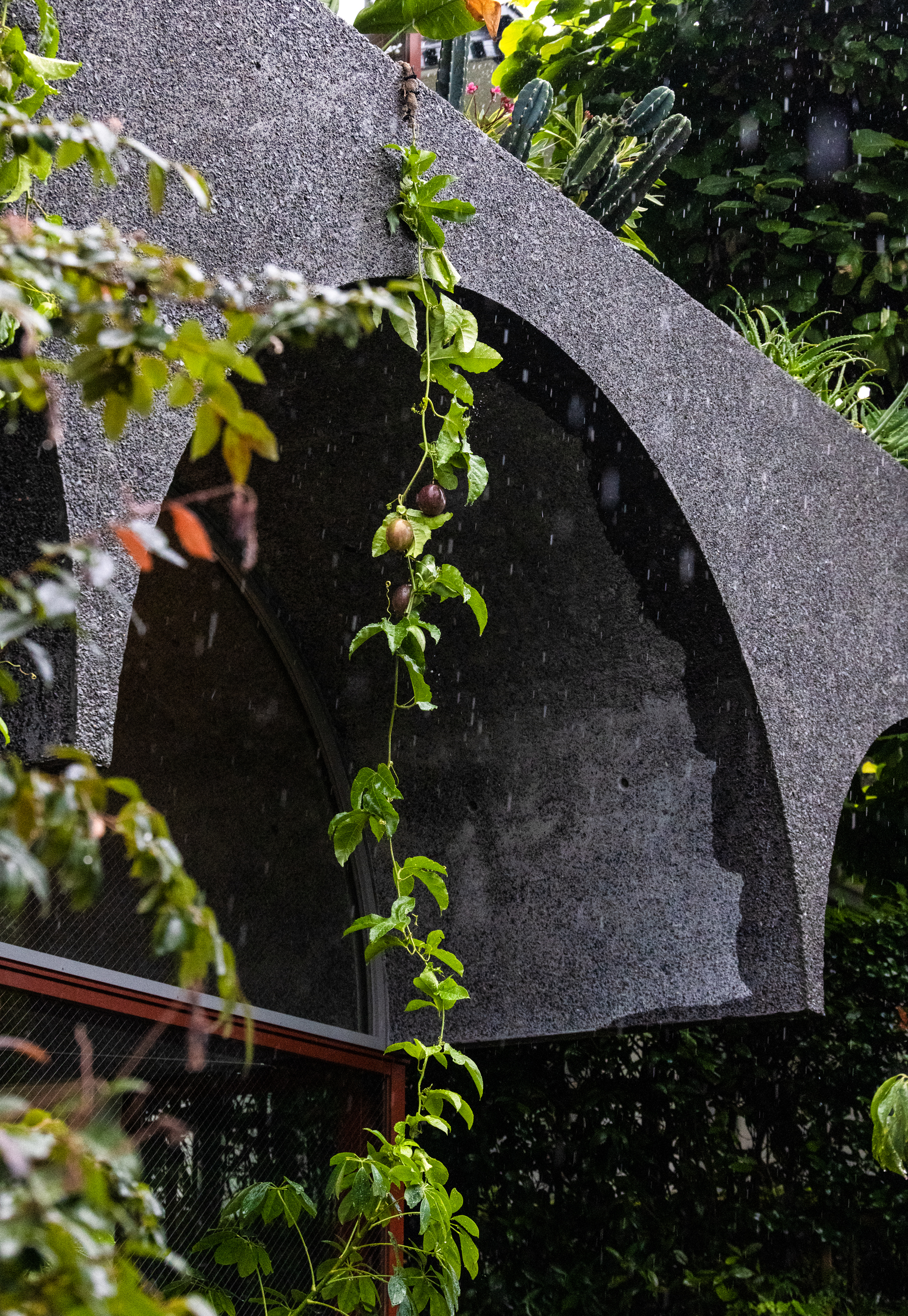 鶴岡邸私人住宅 Tsuruoka House Kiyoaki Takeda Architects 武田清明建築設計事務所 