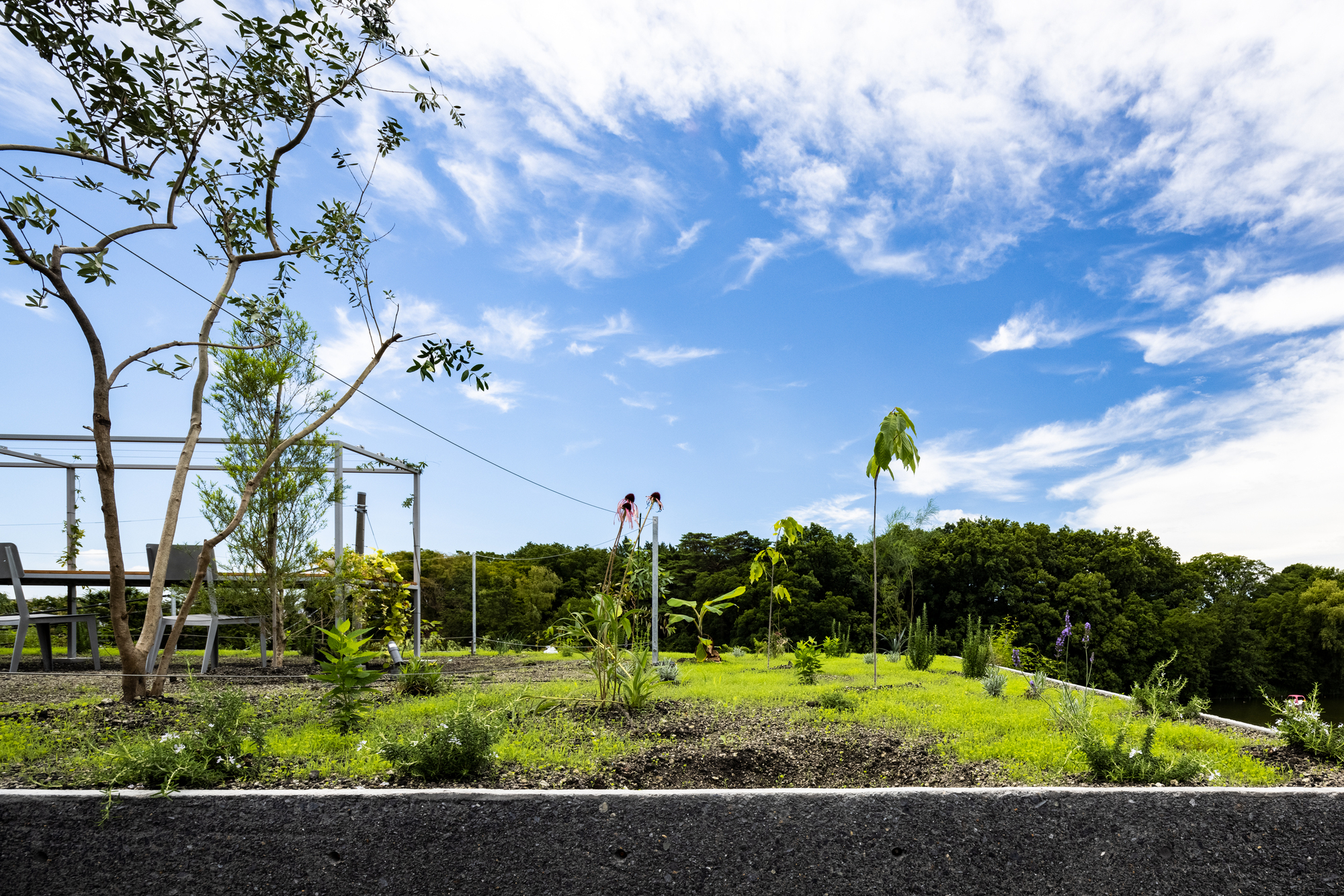 鶴岡邸私人住宅 Tsuruoka House Kiyoaki Takeda Architects 武田清明建築設計事務所 