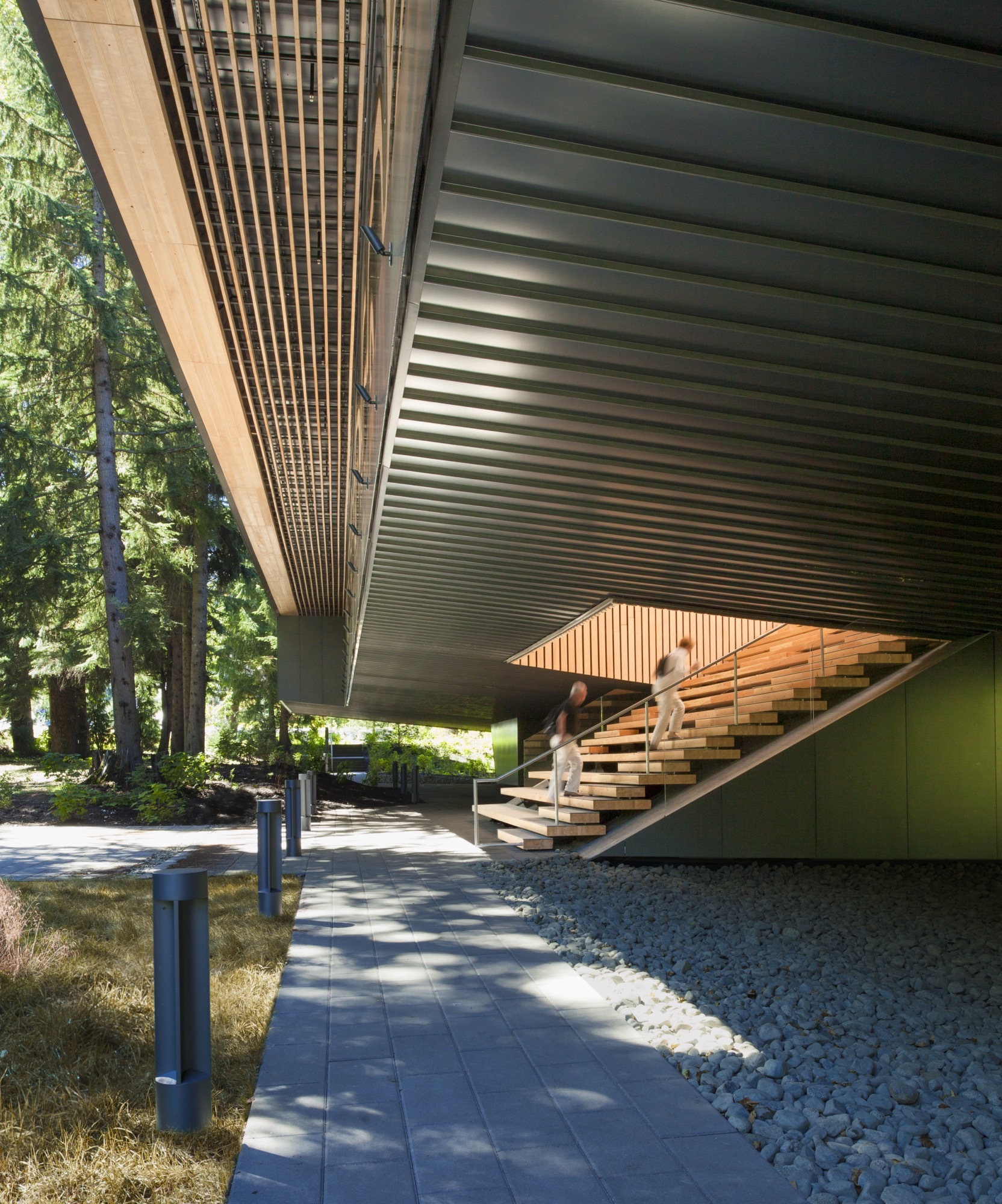 Patkau Architects 加拿大奧登美術館 Audain Art Museum