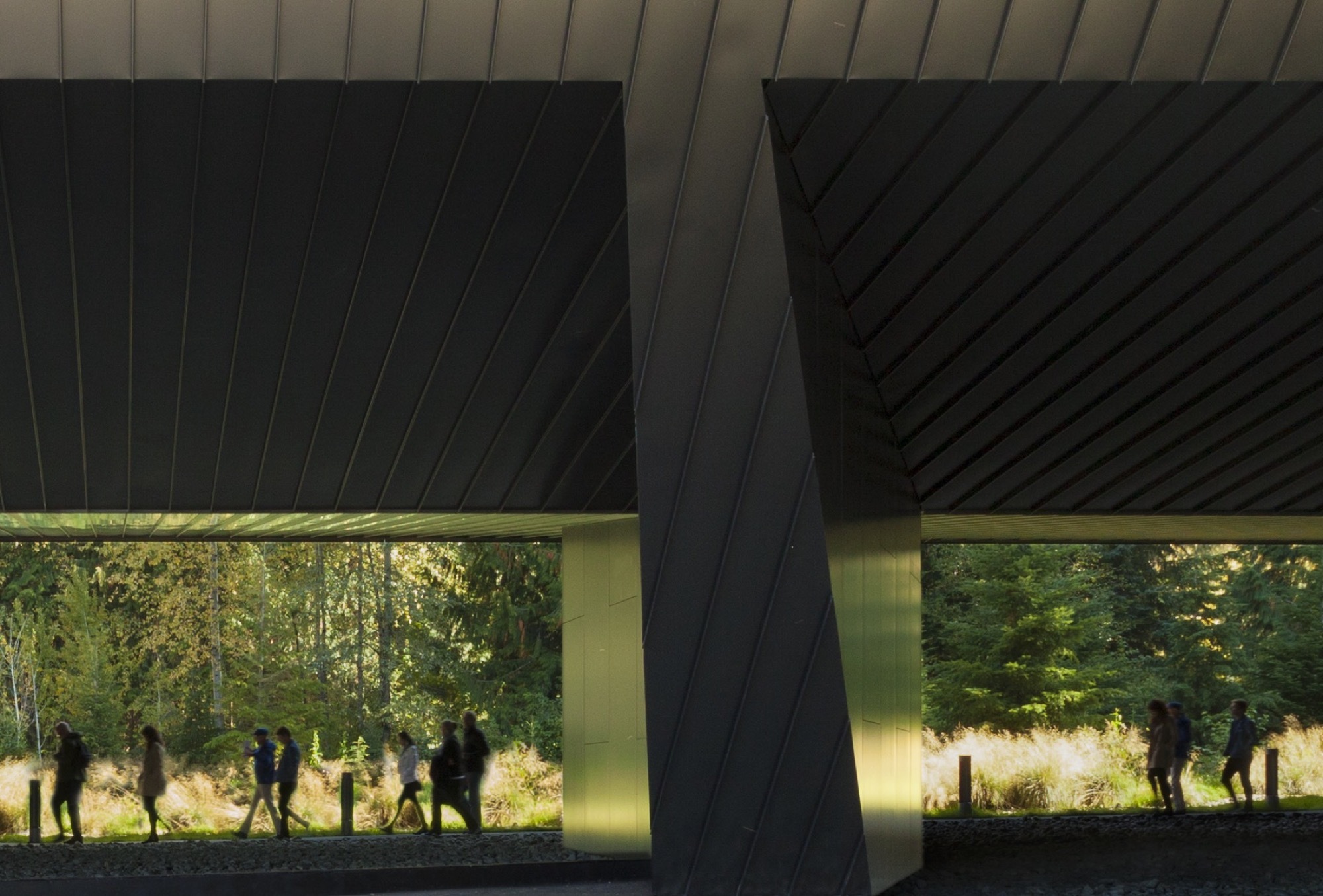 Patkau Architects 加拿大奧登美術館 Audain Art Museum