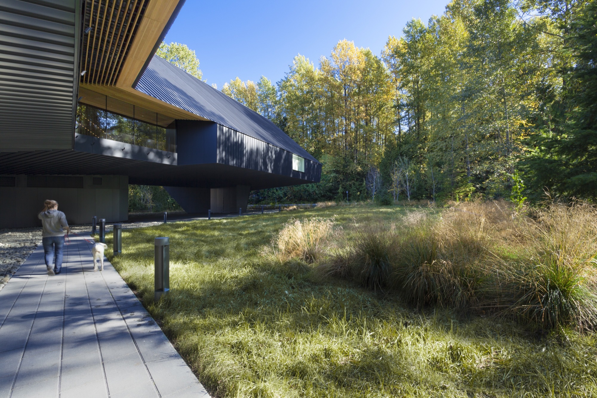 Patkau Architects 加拿大奧登美術館 Audain Art Museum