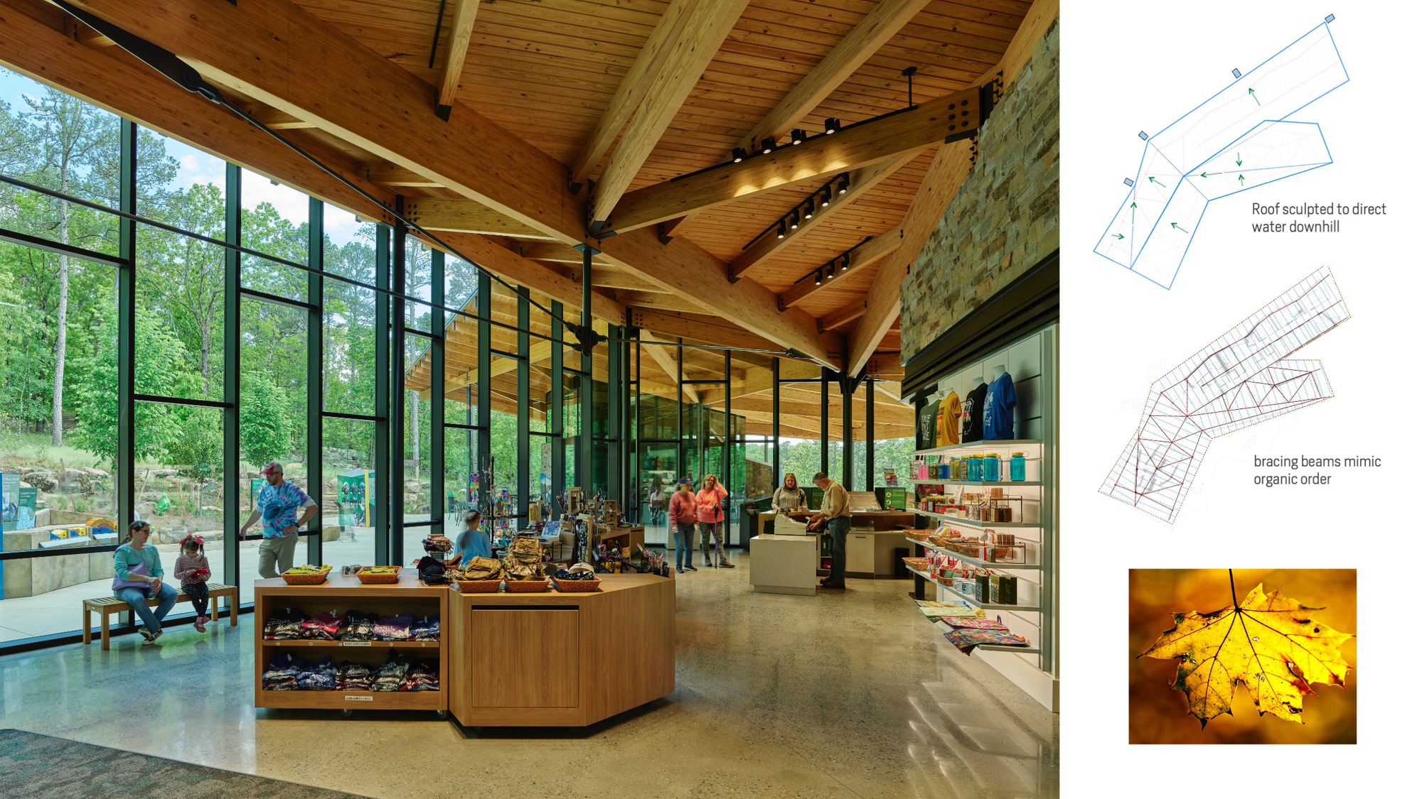美國阿肯色州遊客中心 Pinnacle Mountain State Park Visitor Center Polk Stanley Wilcox Architects
