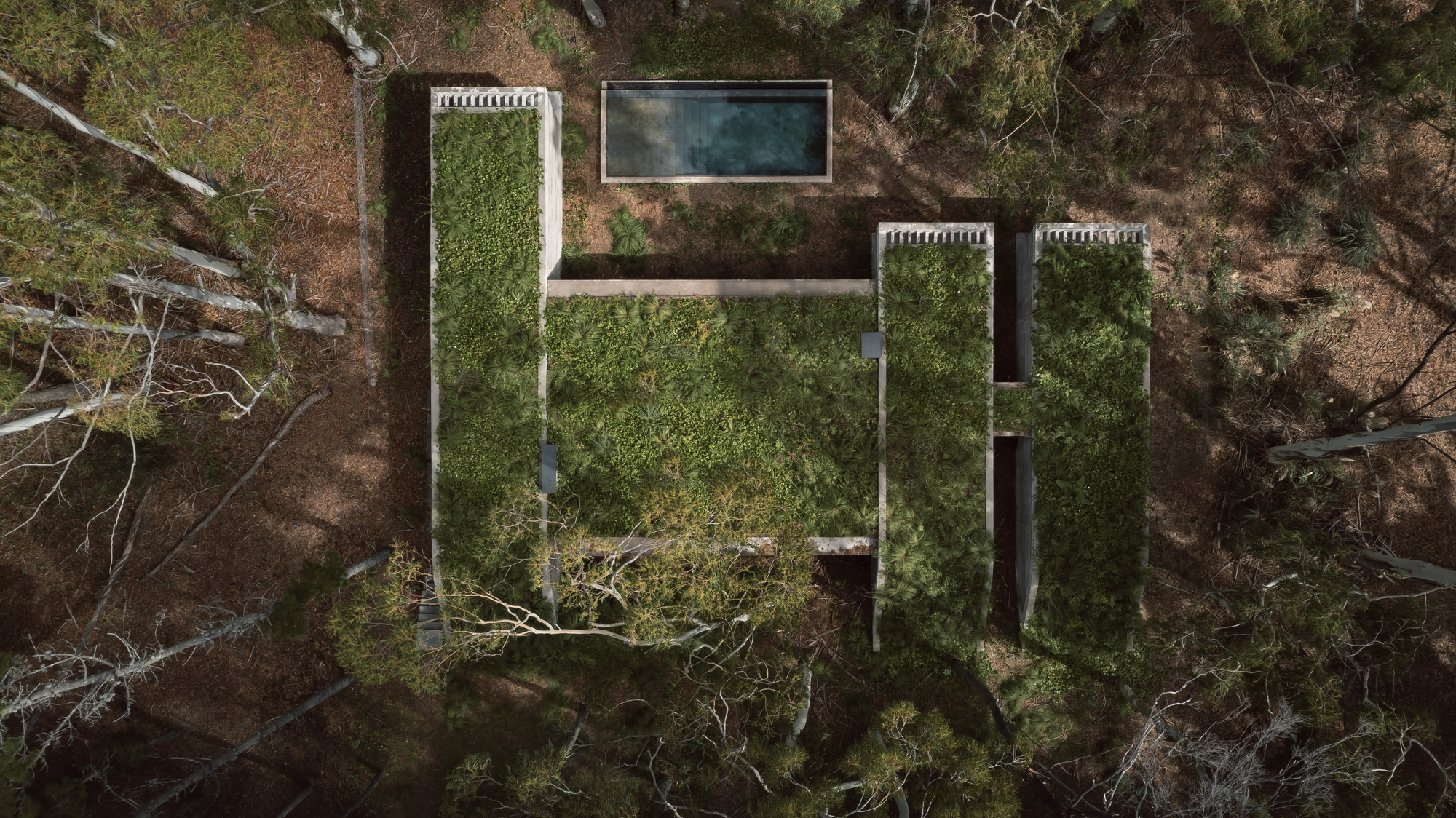 阿根廷建築 森林住宅 Forest House Gonzalo Bardach arquitectura 建築以綠屋頂覆蓋,進一步與自然互融