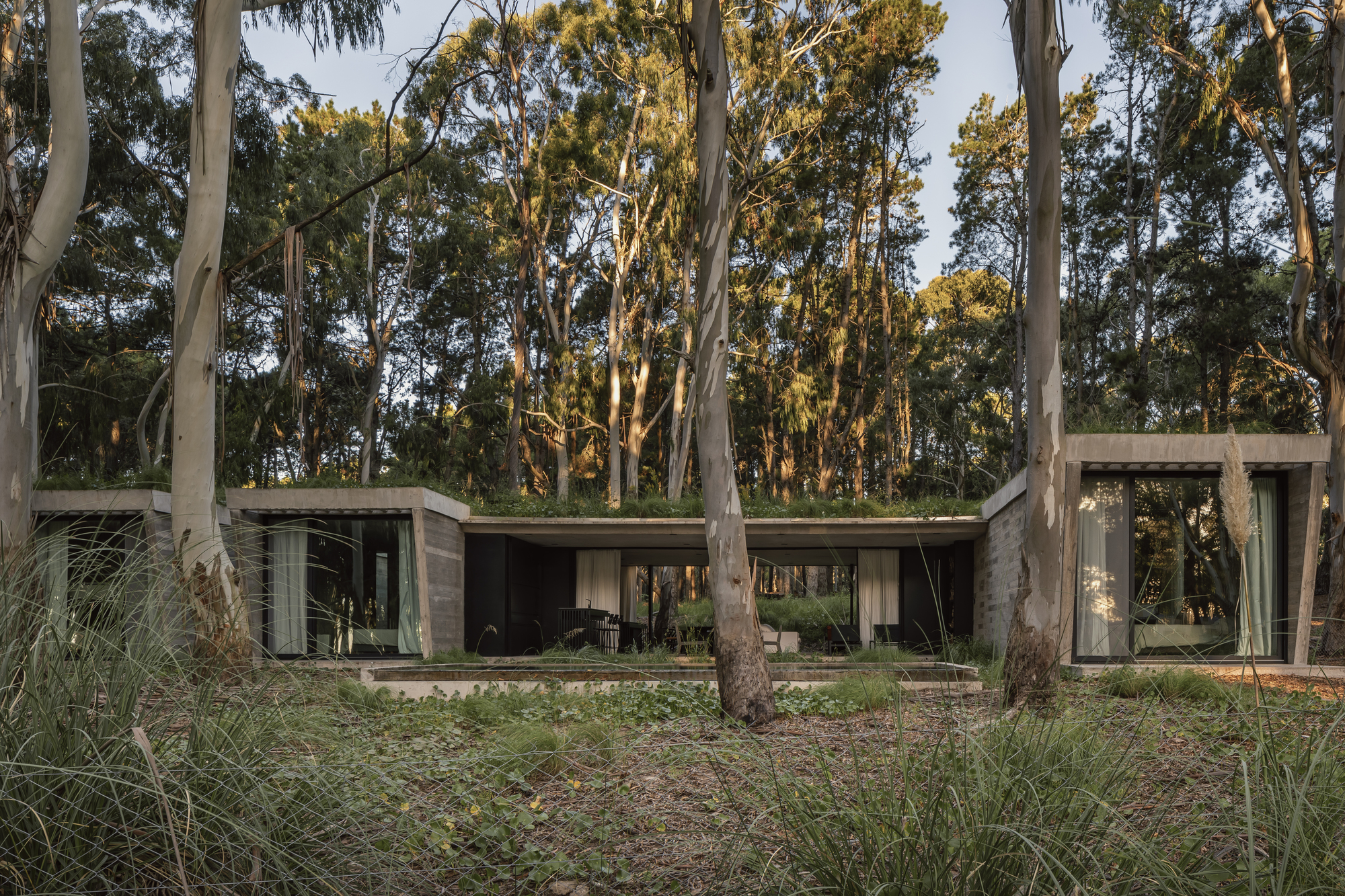 阿根廷建築 森林住宅 Forest House Gonzalo Bardach arquitectura