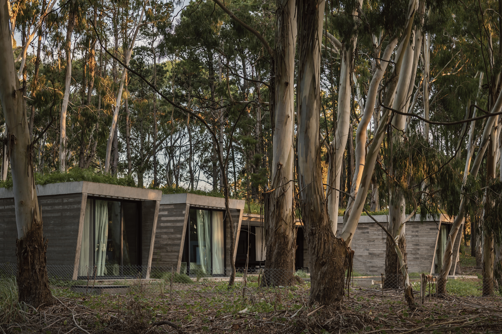 阿根廷建築 森林住宅 Forest House Gonzalo Bardach arquitectura