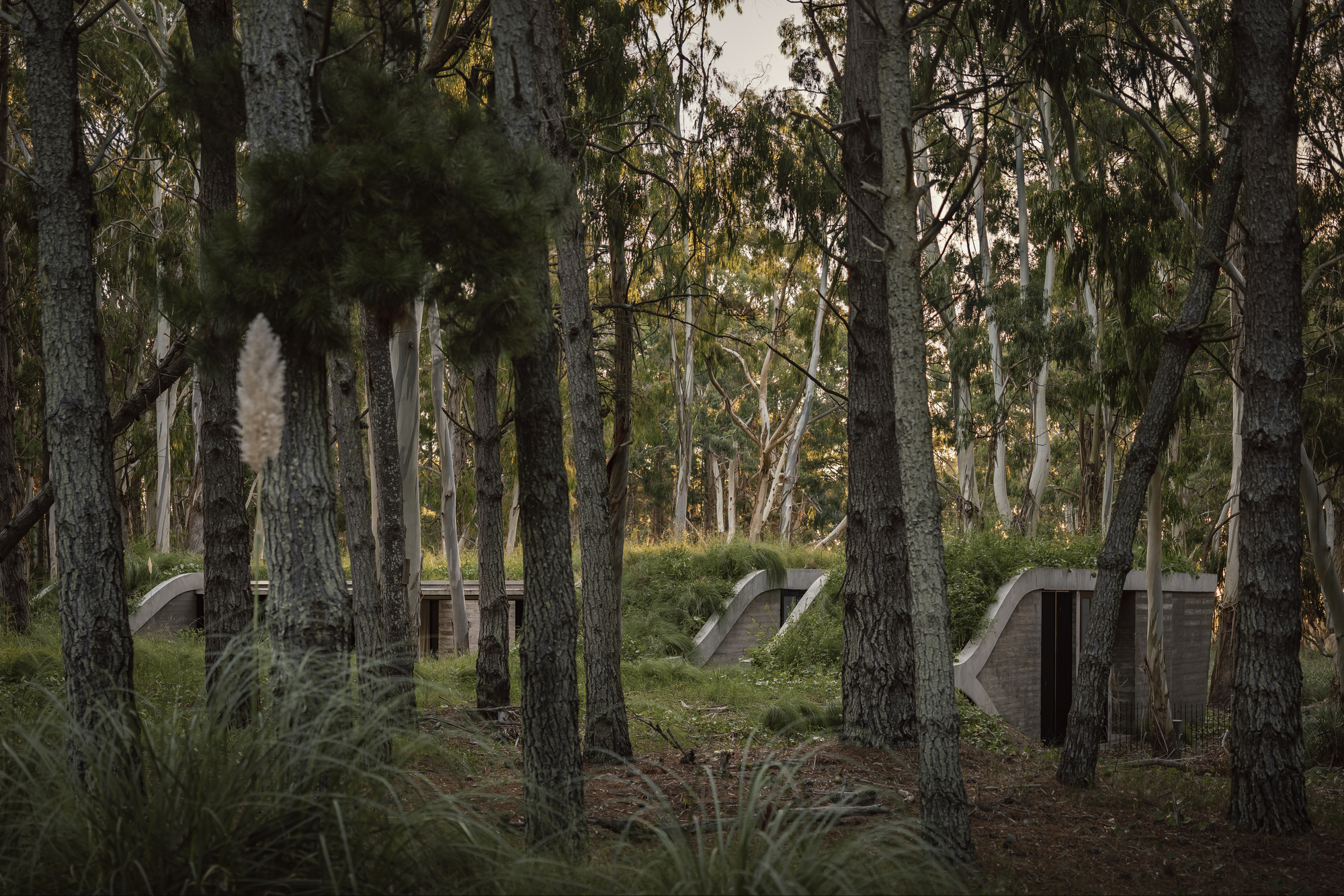 阿根廷建築 森林住宅 Forest House Gonzalo Bardach arquitectura