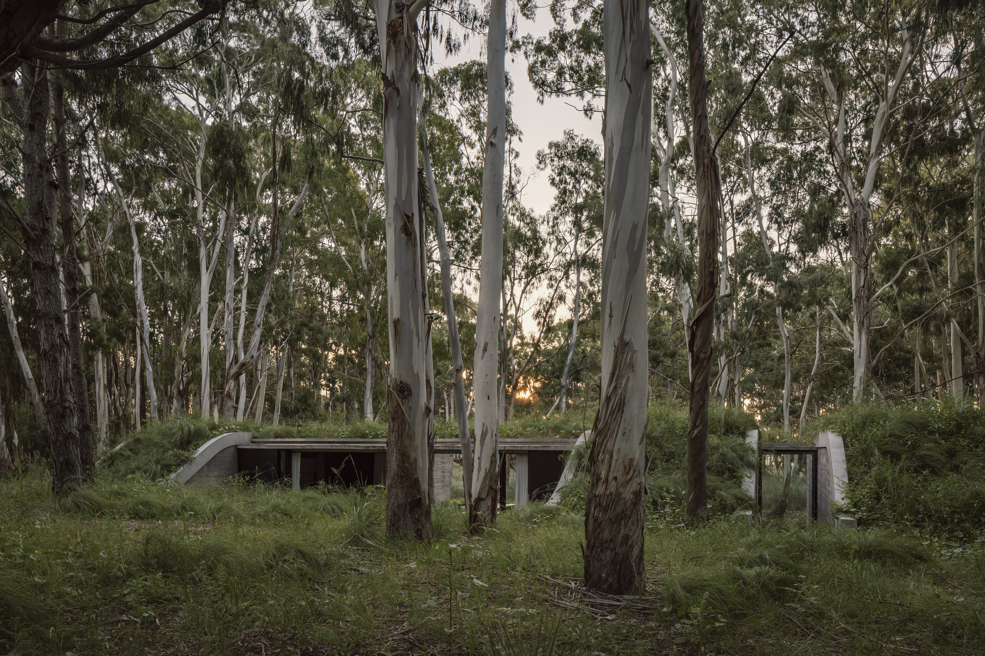 阿根廷建築 森林住宅 Forest House Gonzalo Bardach arquitectura