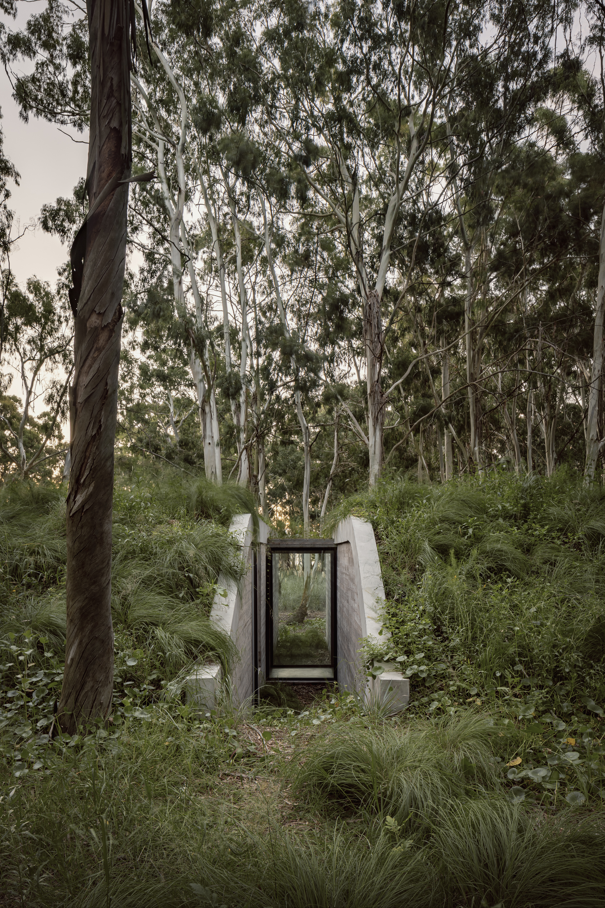 阿根廷建築 森林住宅 Forest House Gonzalo Bardach arquitectura