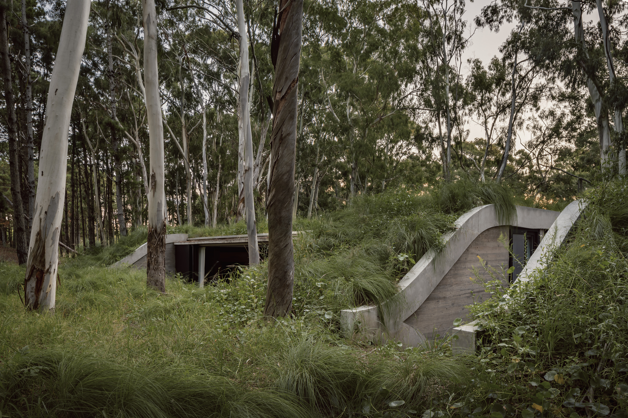 阿根廷建築 森林住宅 Forest House Gonzalo Bardach arquitectura