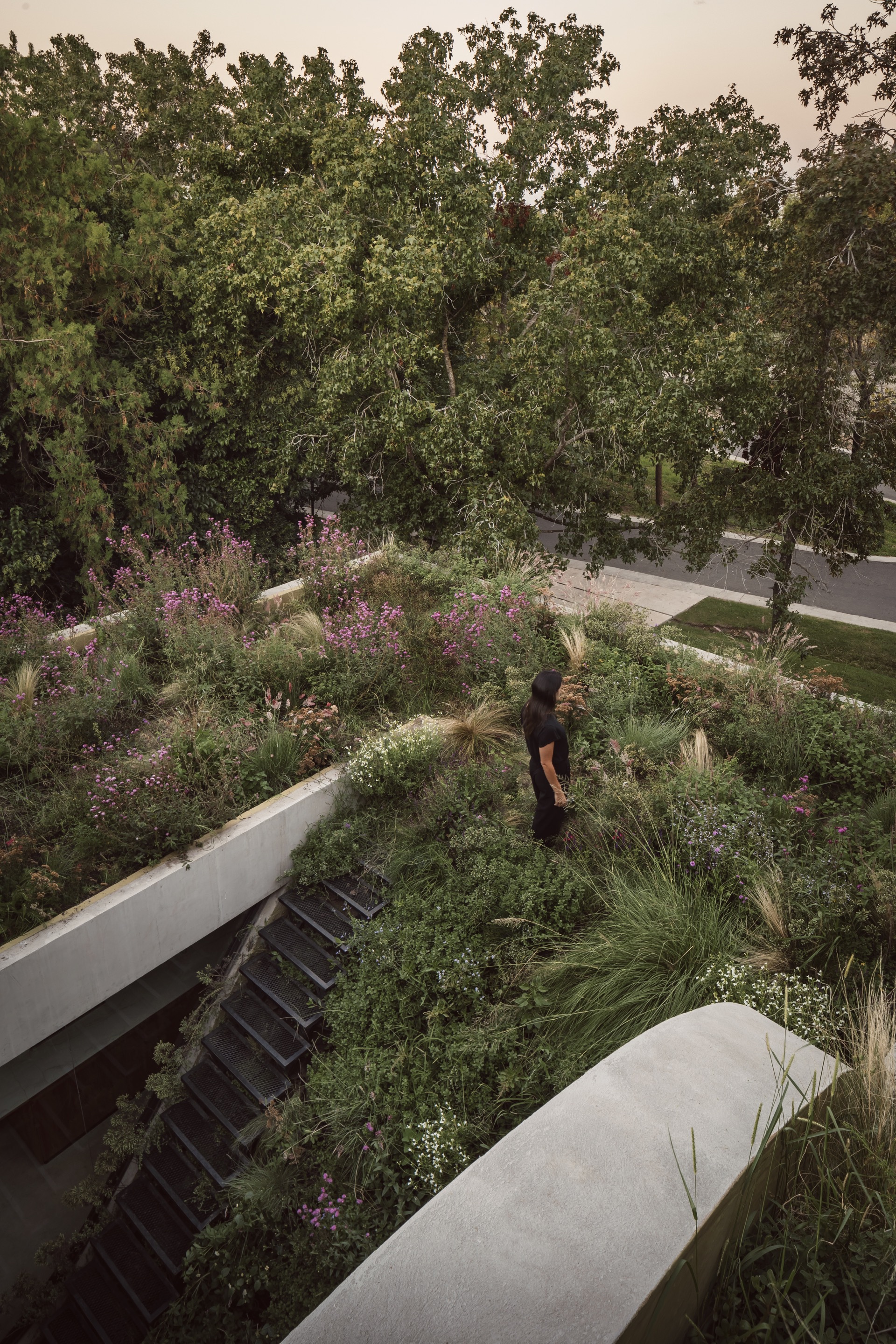 阿根廷建築 森林住宅 Forest House Gonzalo Bardach arquitectura