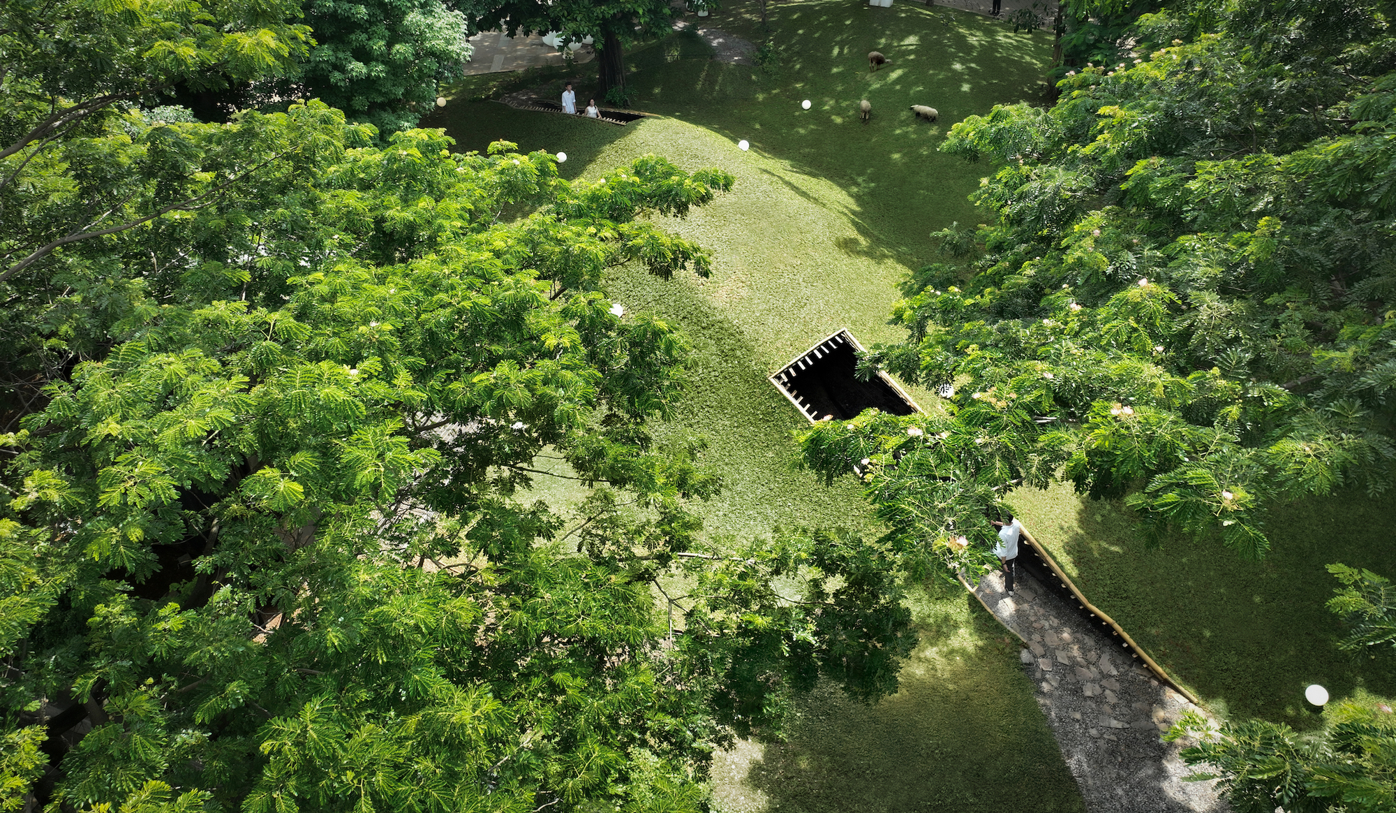 印尼地景雞舍 Chicken Hero Pavilion RAD+ar (Research Artistic Design + architecture)