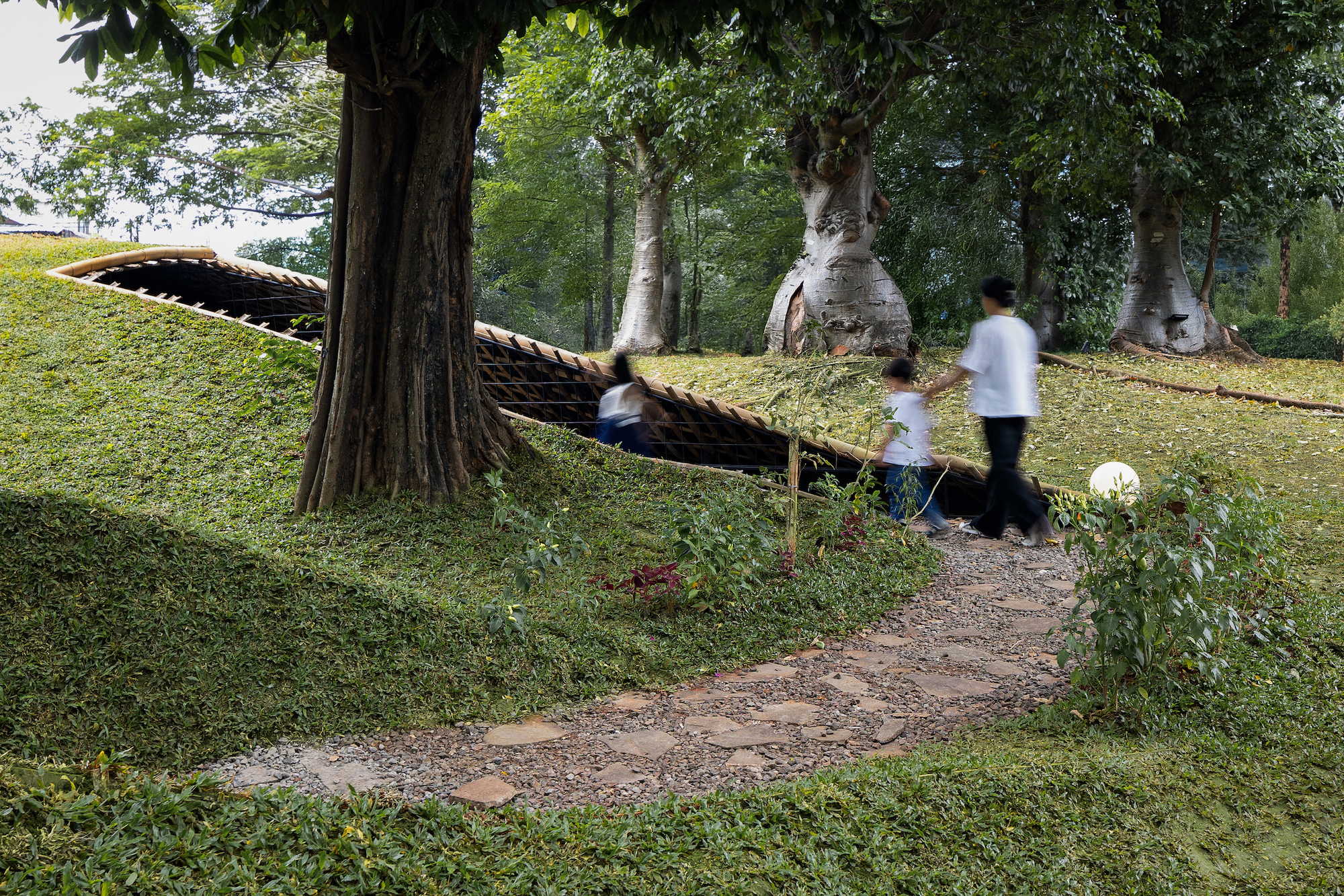 印尼地景雞舍 Chicken Hero Pavilion RAD+ar (Research Artistic Design + architecture)