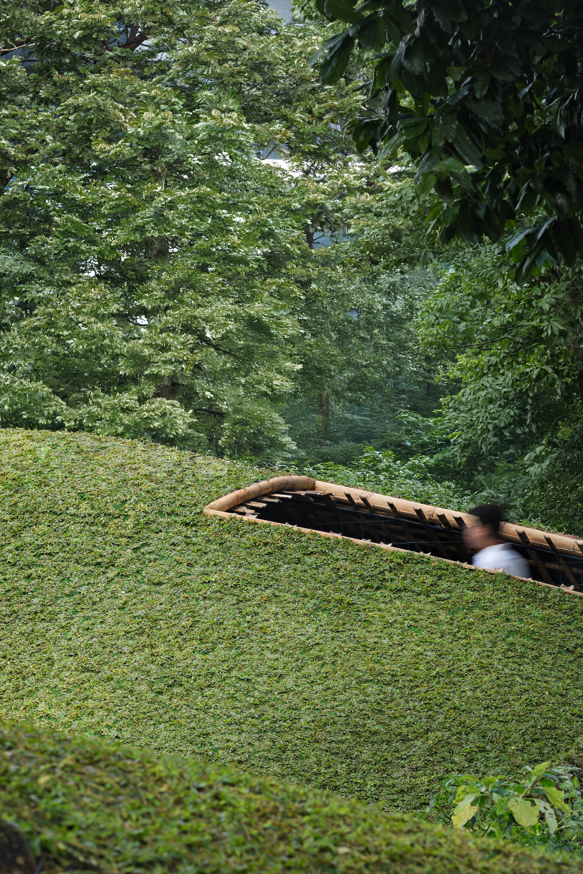 印尼地景雞舍 Chicken Hero Pavilion RAD+ar (Research Artistic Design + architecture)