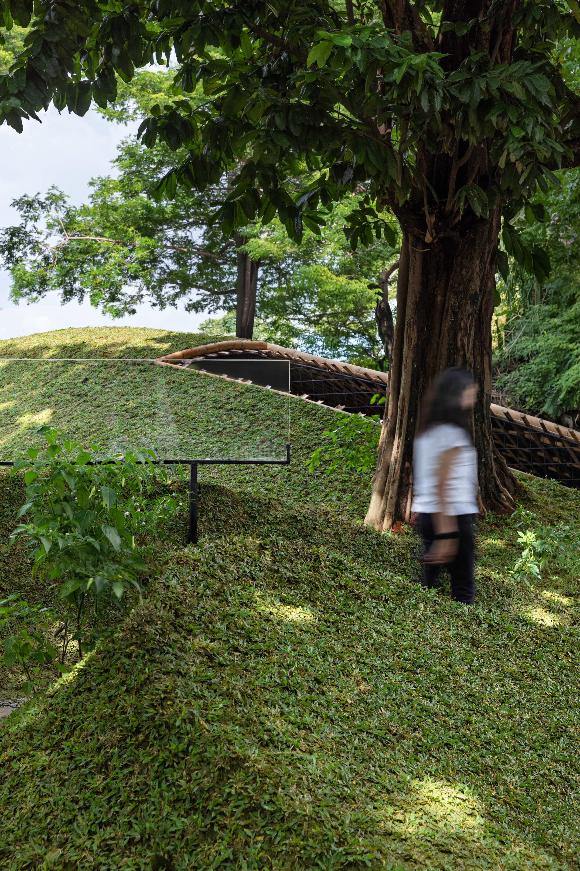 印尼地景雞舍 Chicken Hero Pavilion RAD+ar (Research Artistic Design + architecture)