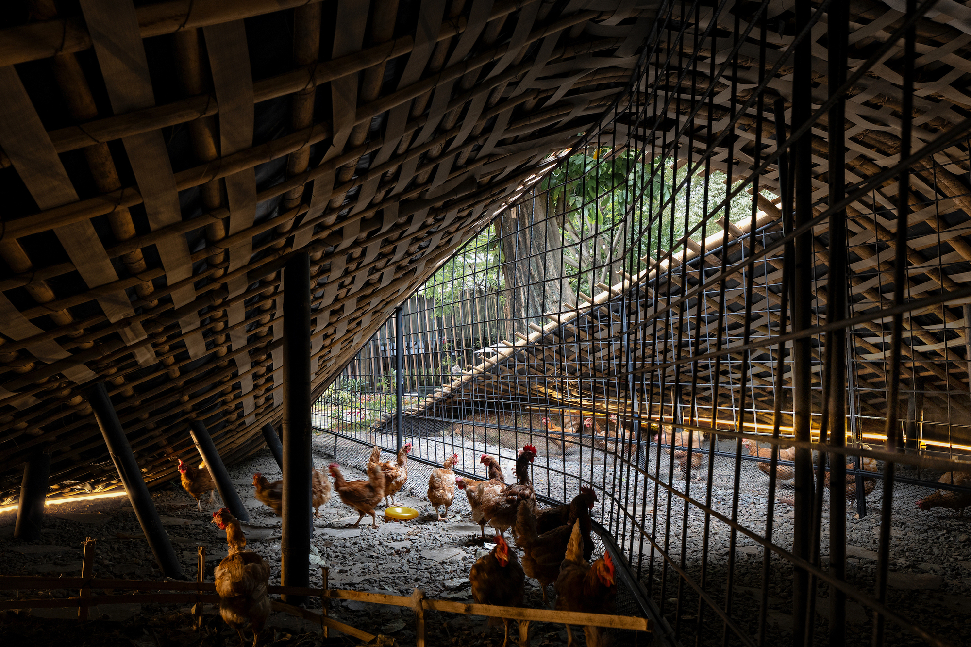 印尼地景雞舍 Chicken Hero Pavilion RAD+ar (Research Artistic Design + architecture)