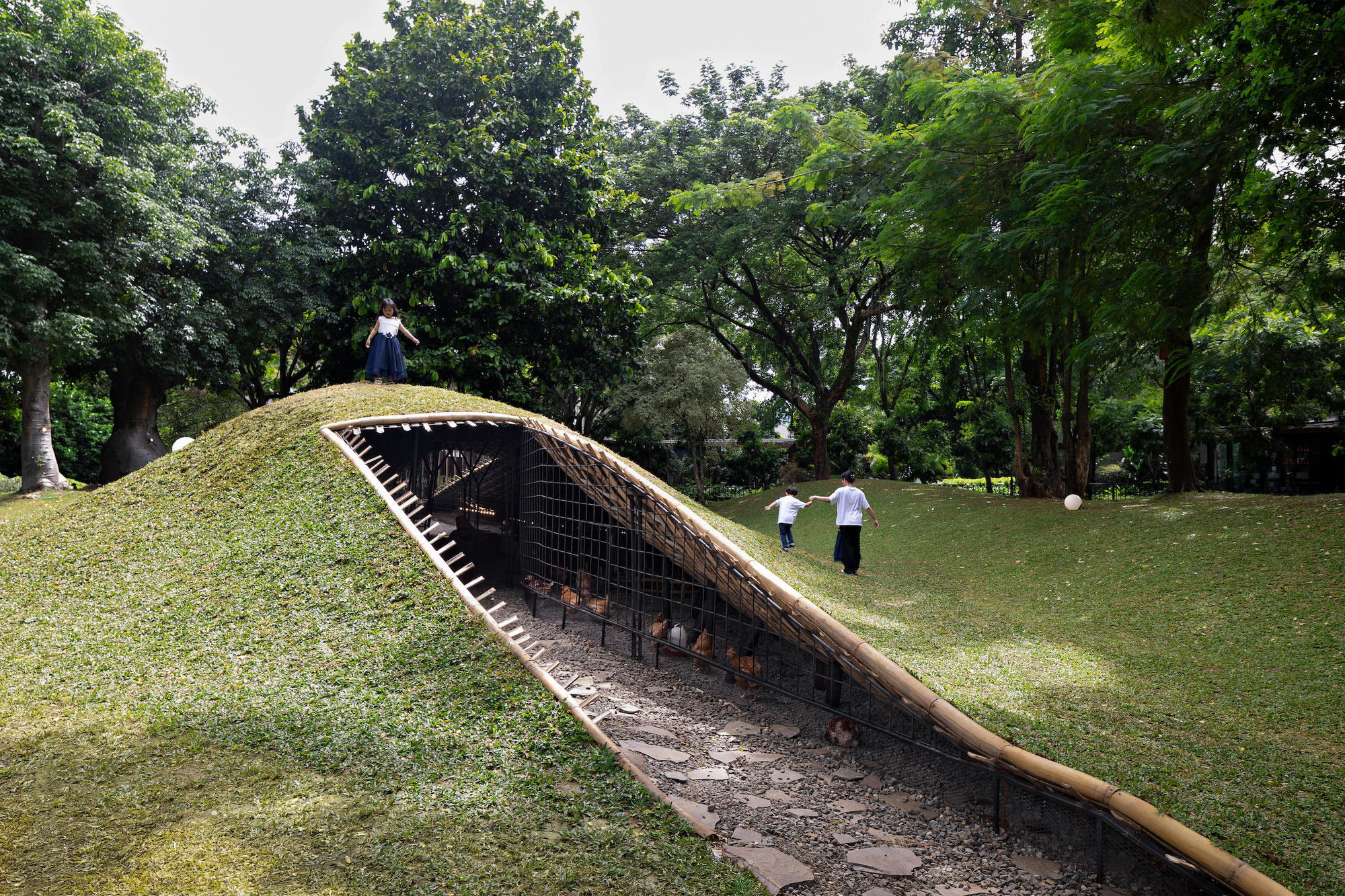 印尼地景雞舍 Chicken Hero Pavilion RAD+ar (Research Artistic Design + architecture)