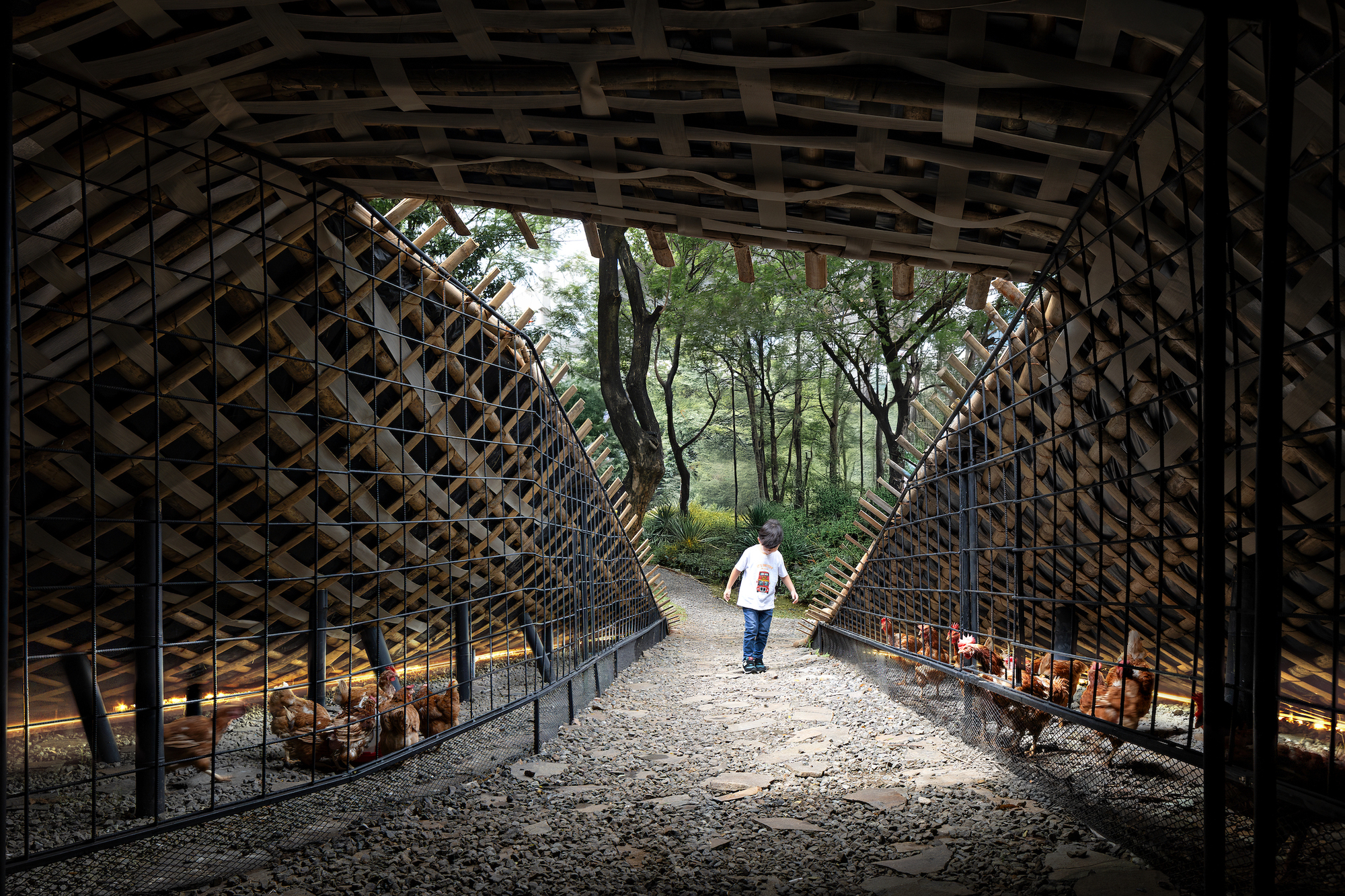 印尼地景雞舍 Chicken Hero Pavilion RAD+ar (Research Artistic Design + architecture)