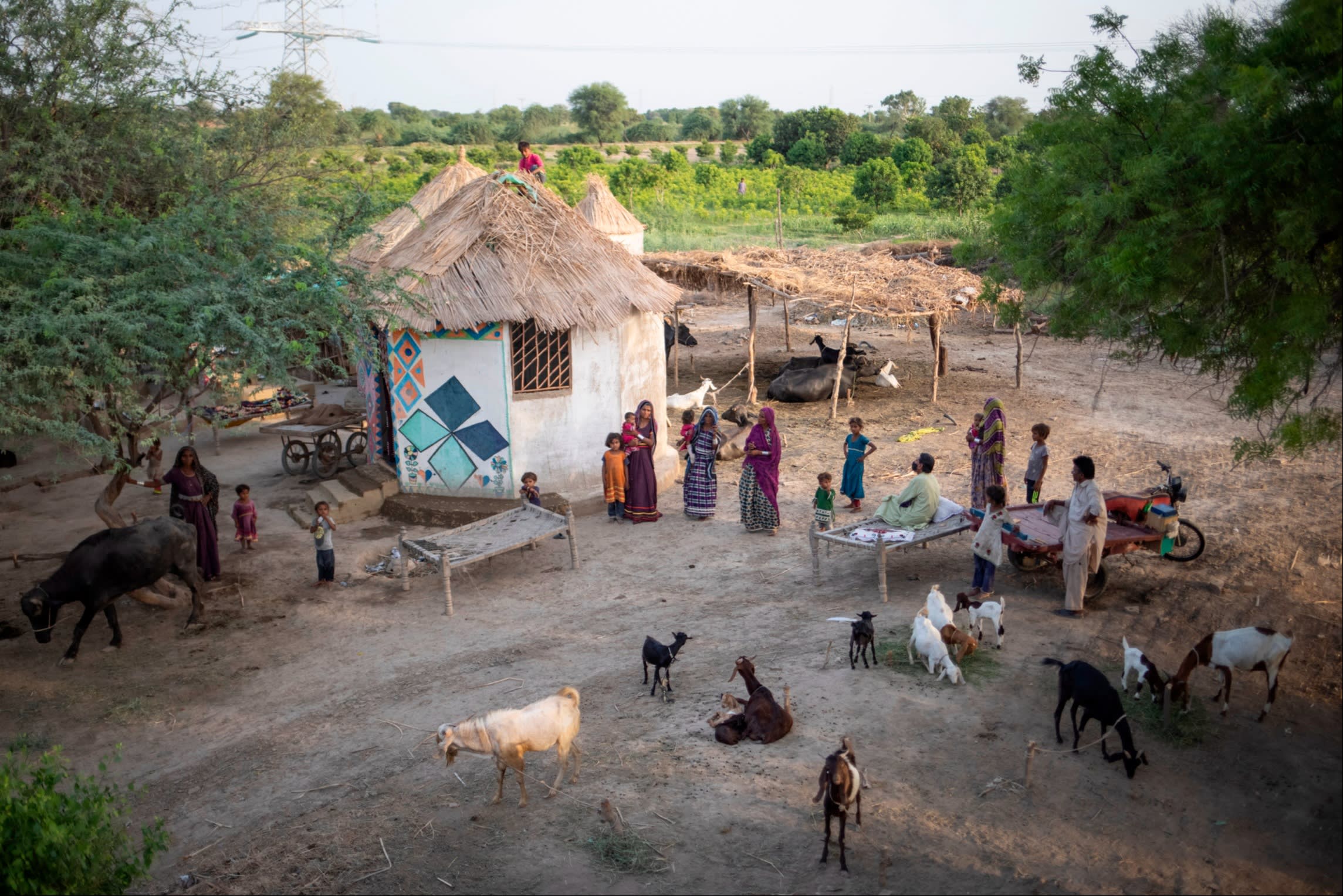 瓦斯拉姆村(Vasram Colony),位於米爾普爾卡斯(Mirpurkhas),信德省(Sindh)
這是雅斯敏·拉里(Yasmeen Lari)於 2022 年發起的建造 100 萬座竹屋倡議中的示範村之一
圖片 © 賽伊娜·巴希爾(Saiyna Bashir)/《華盛頓郵報》(The Washington Post)/Getty Images