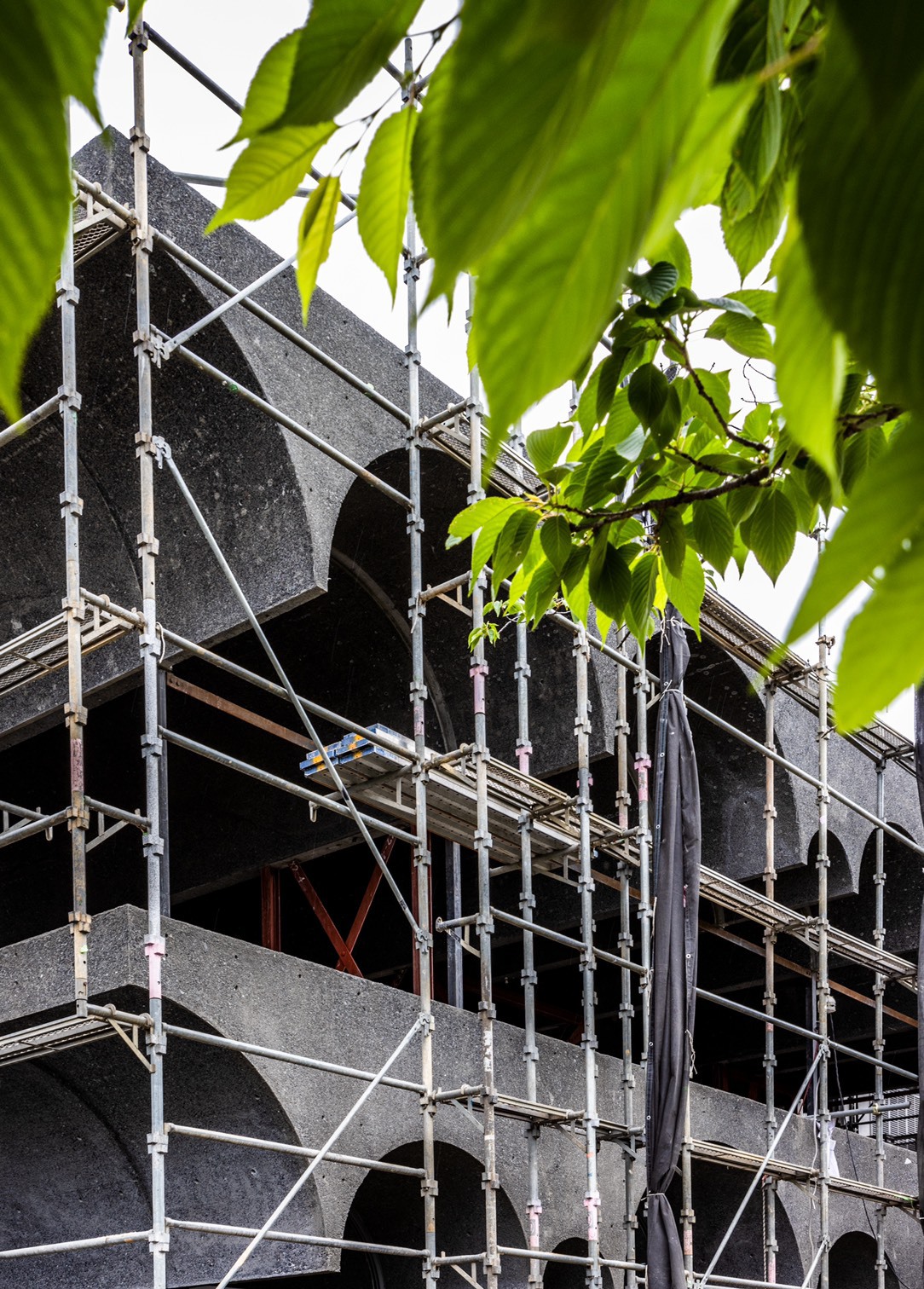 鶴岡邸私人住宅 Tsuruoka House Kiyoaki Takeda Architects 武田清明建築設計事務所 