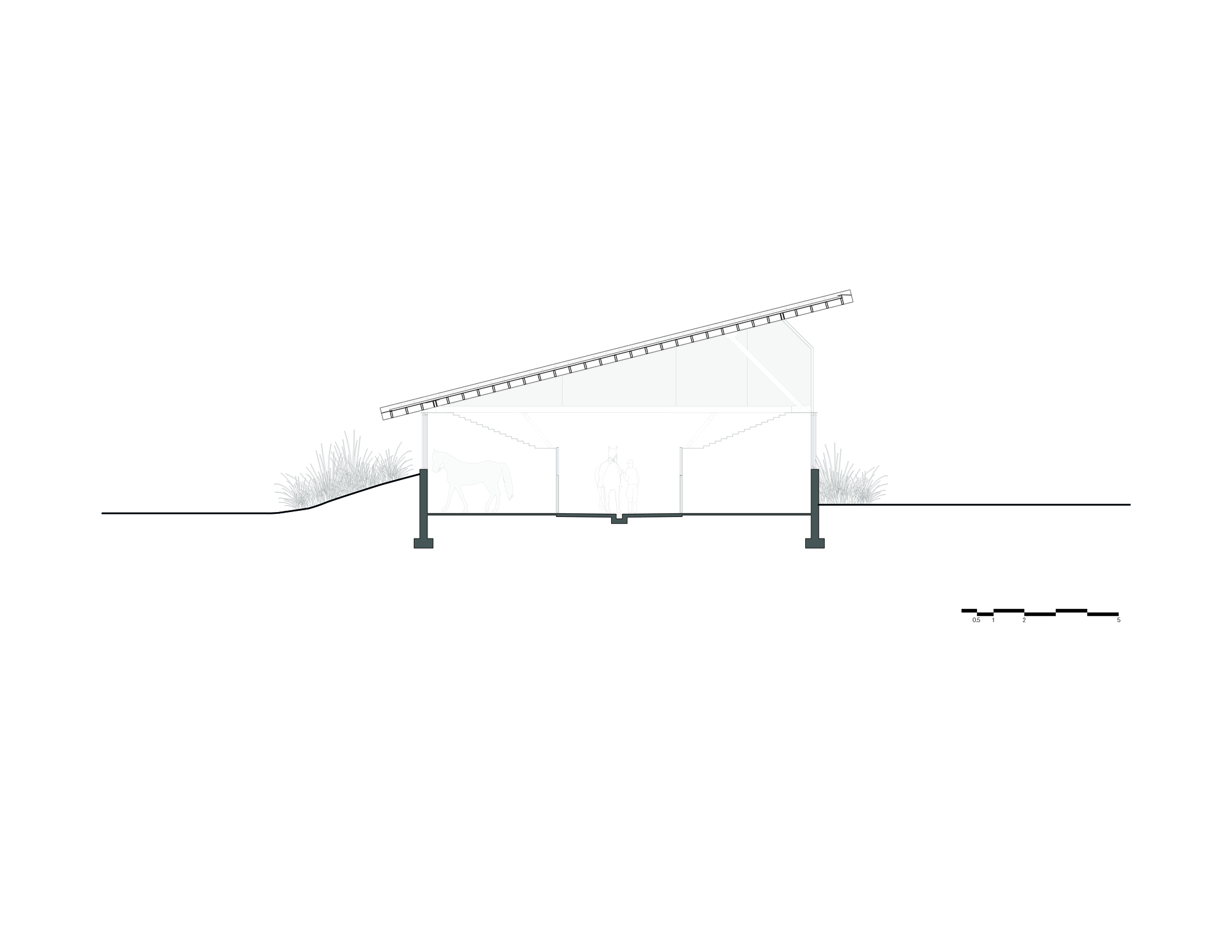 剖面圖 Section 聖拉蒙馬廄 Equestrian San Ramón Módica Ledezma 墨西哥州 Valle de Bravo 森林