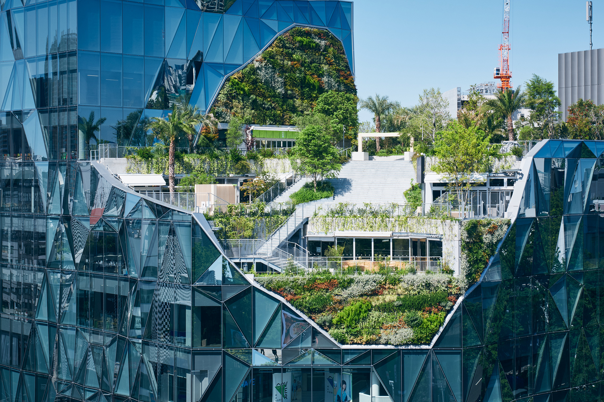 HARAKADO ©KENYA CHIBA