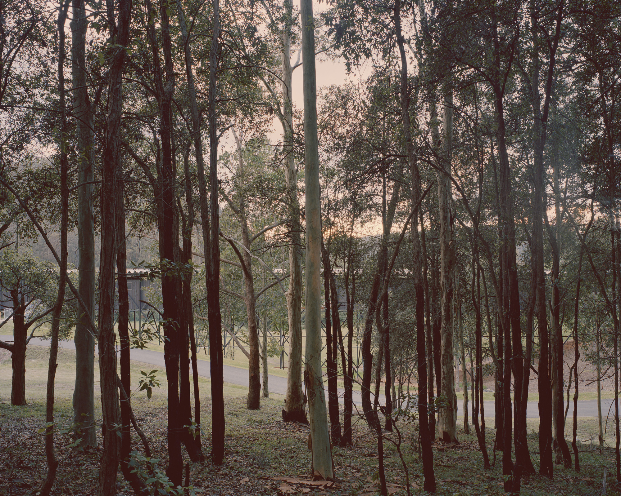 Kerstin Thompson Architects Australia Bundanon Art Museum 澳洲 Bundanon 藝術博物館與吊橋