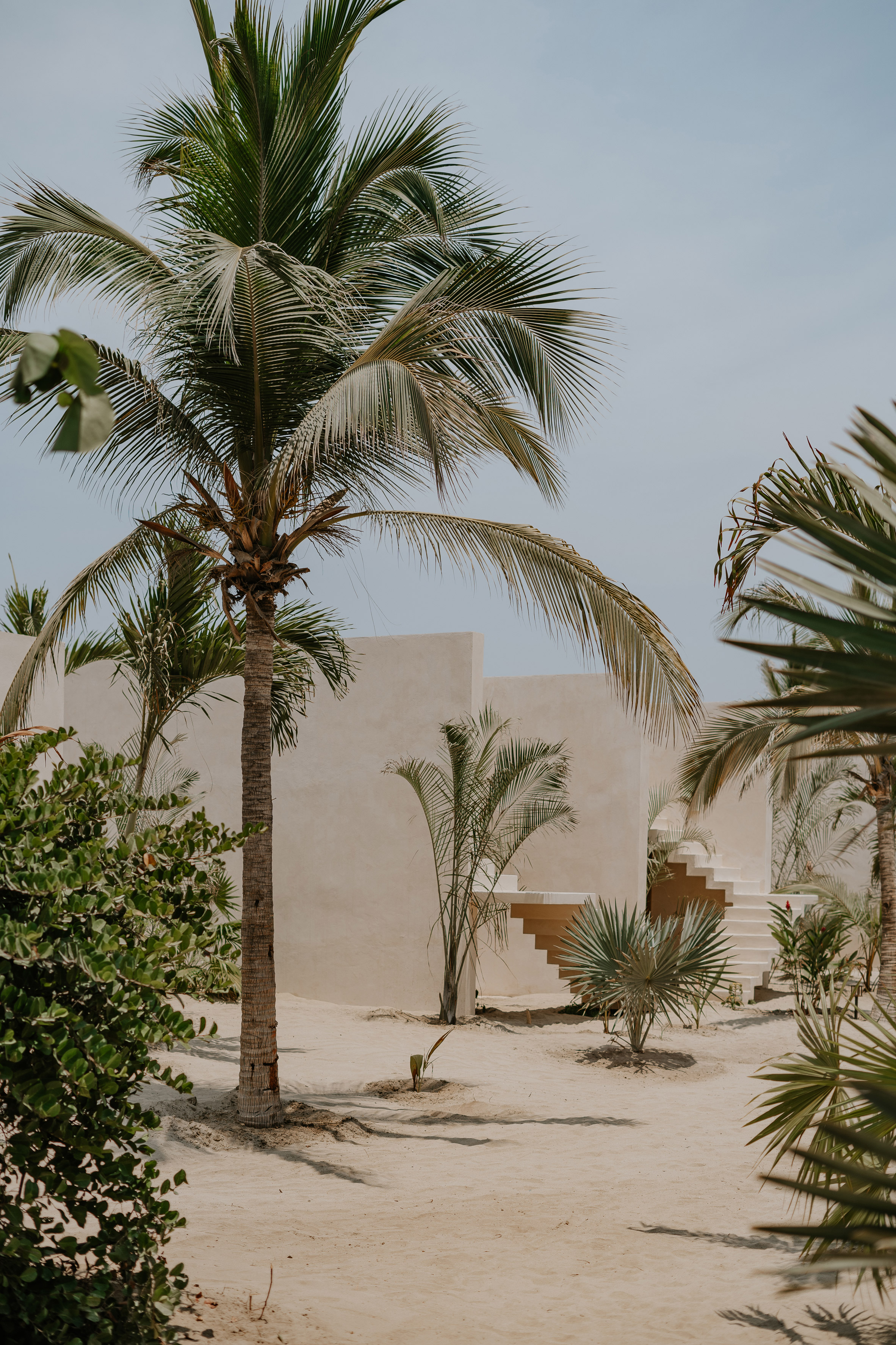 Ricardo de La Concha  墨西哥旅宿Casa Yuma TAAC 室內設計師 Sara Skalli